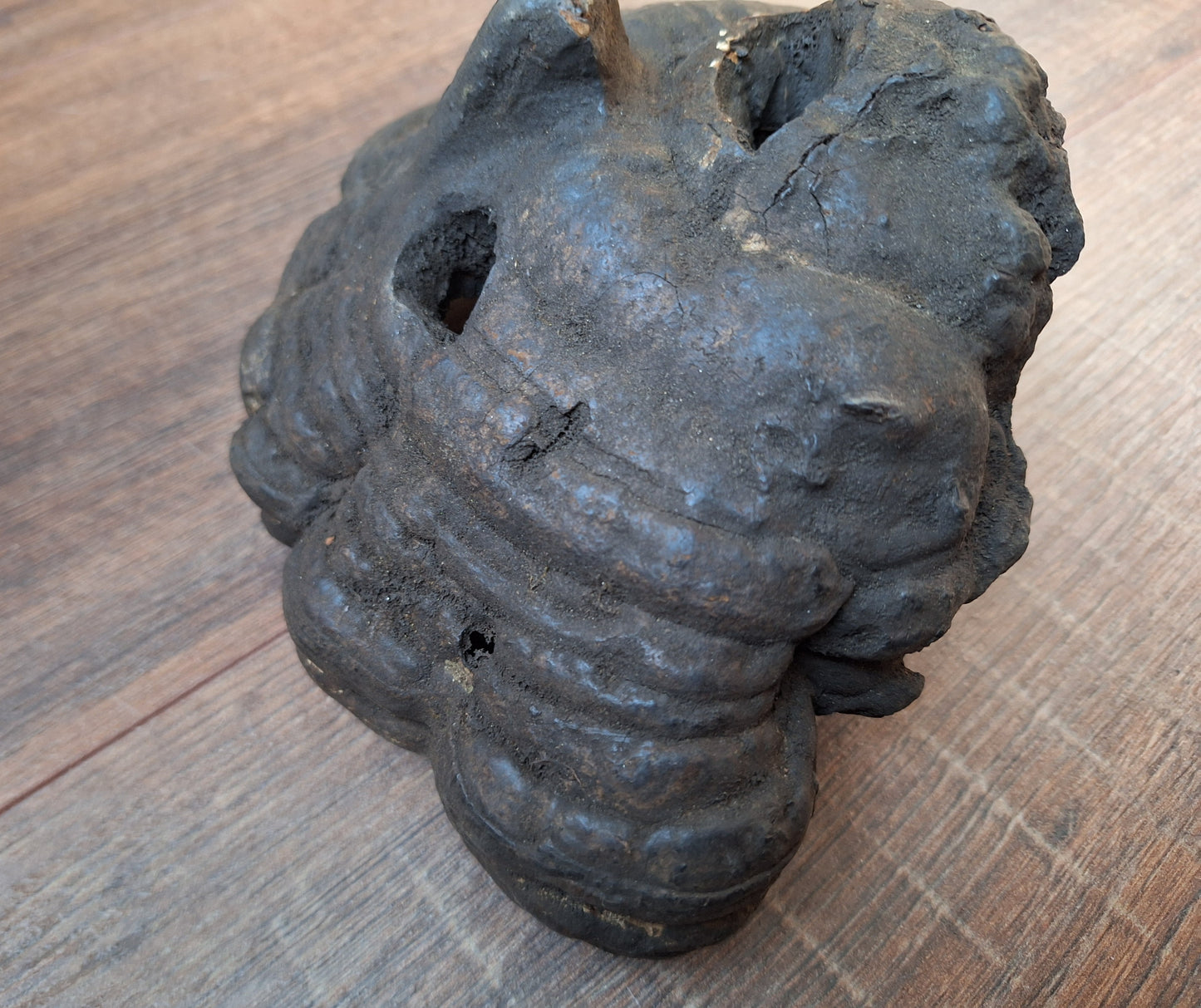 Antique Nepalese mushroom mask #8