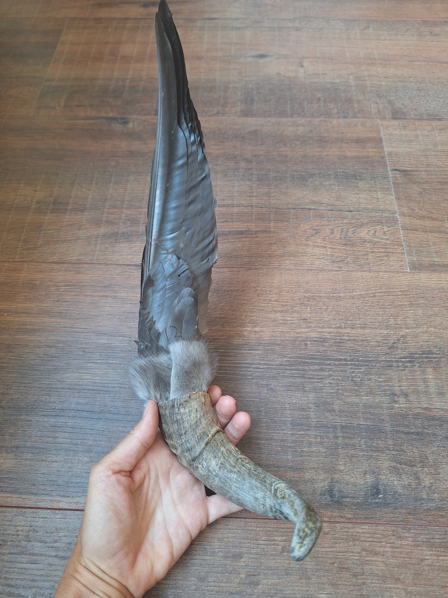 Horn feather fan Crow