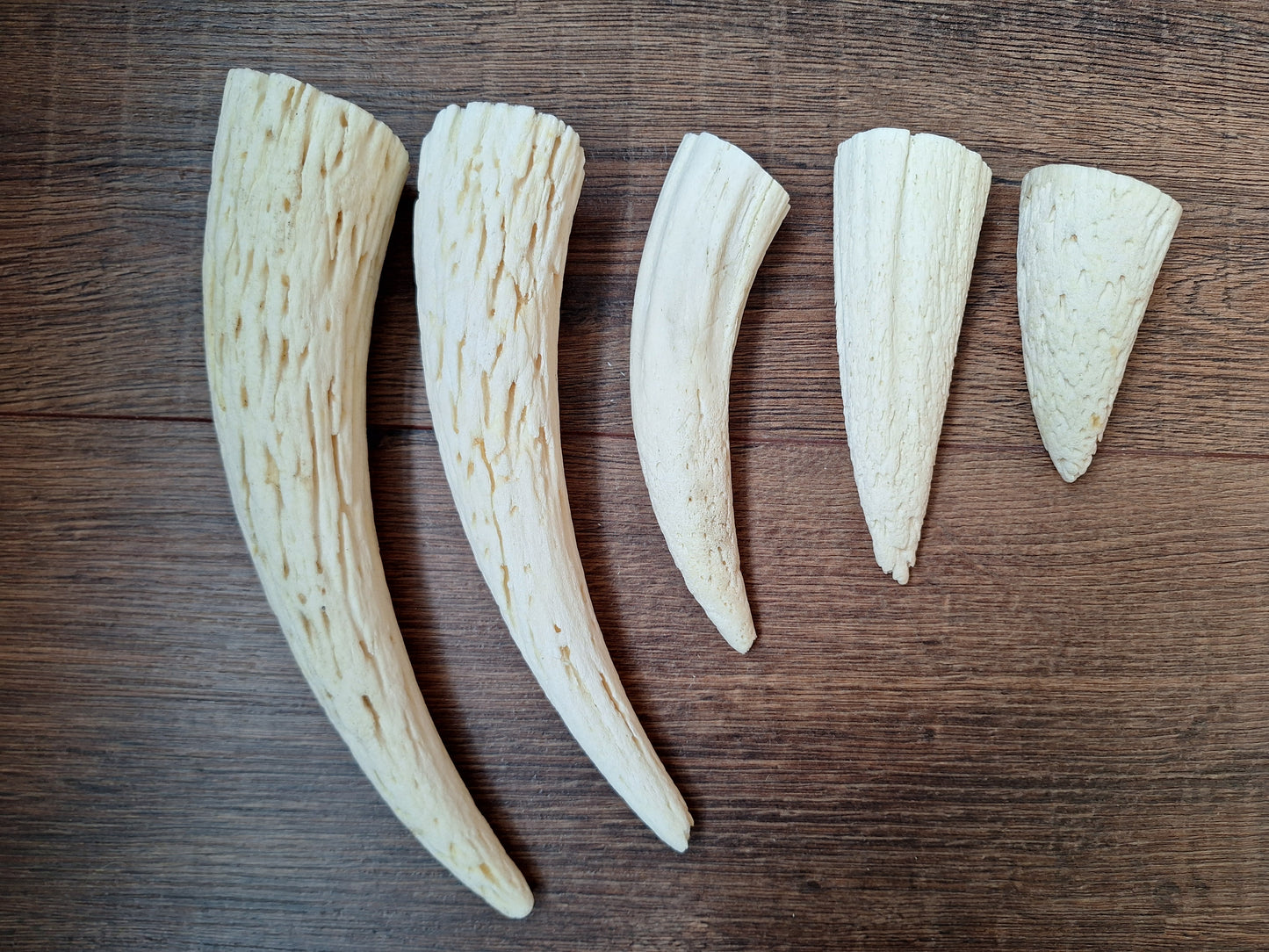 Cow horn pit, set of 5