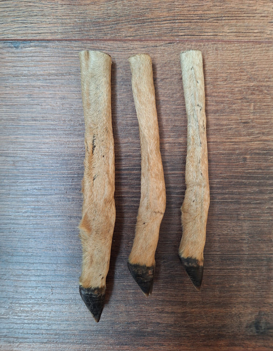 Vintage roe deer lower legs