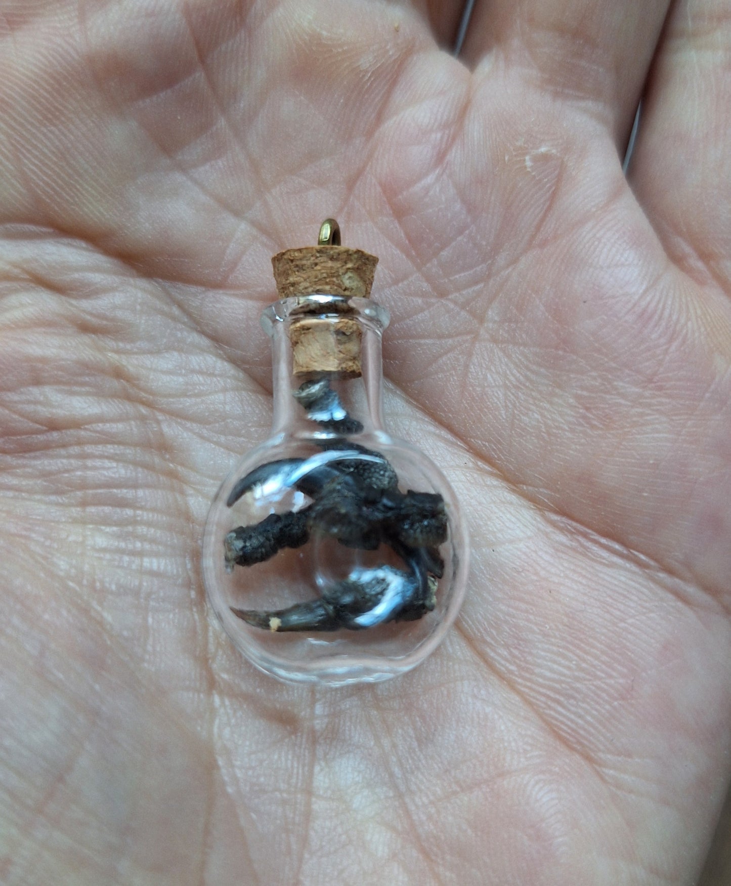 Mini bottle jackdaw nails