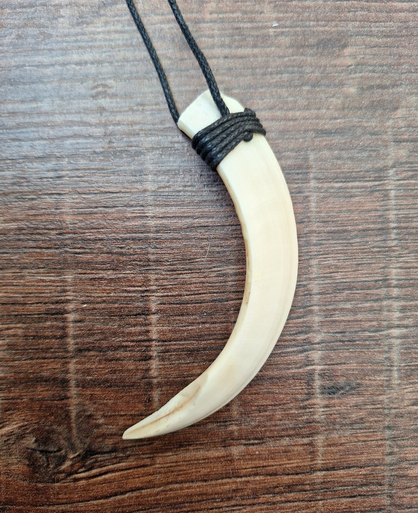 Wild boar tusk amulet necklace