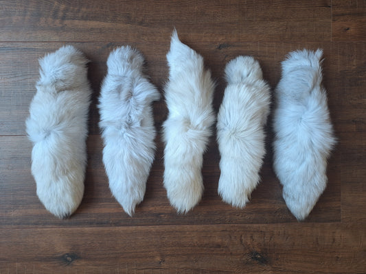 Polar fox tails