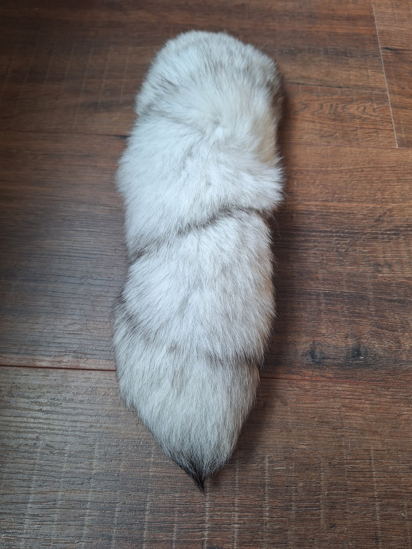 Polar fox tail