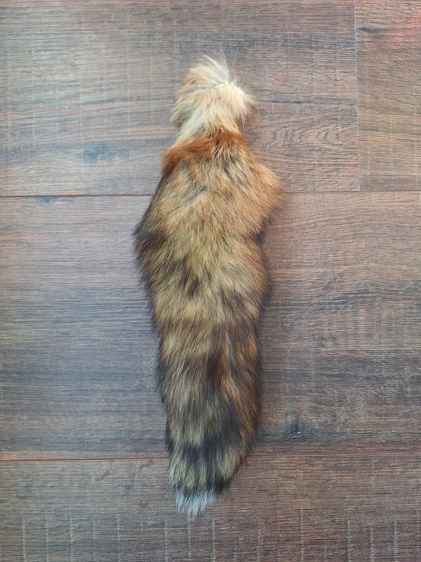 Red fox tails