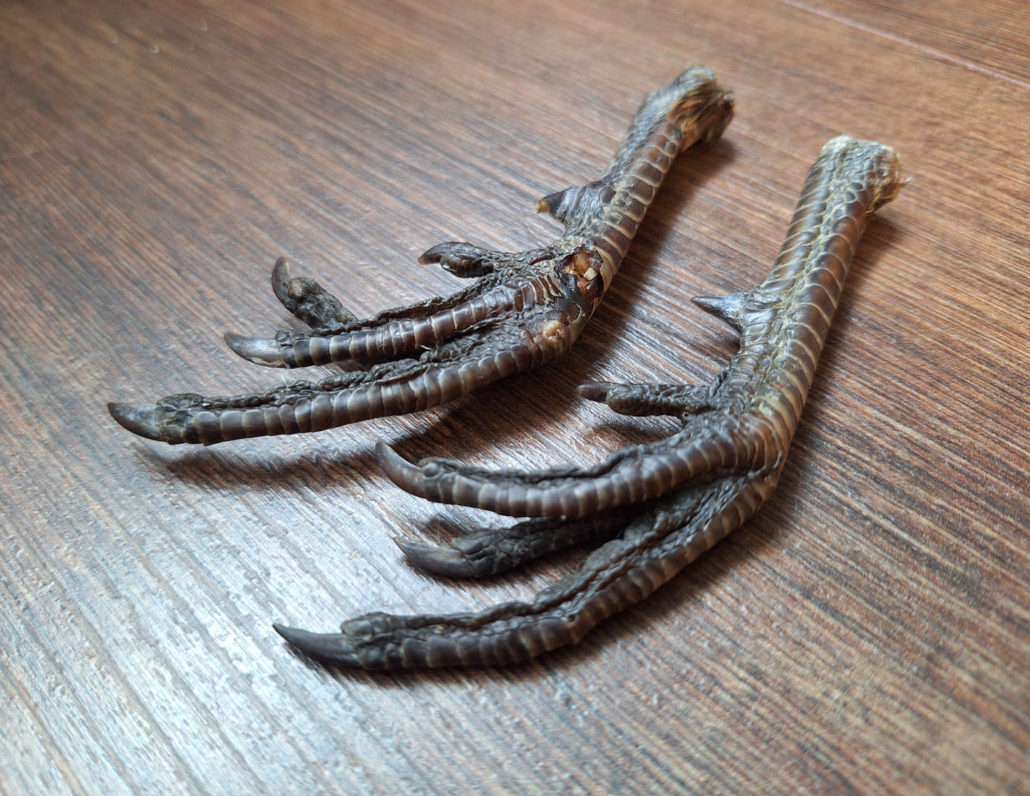 Chicken lower legs, set of 2