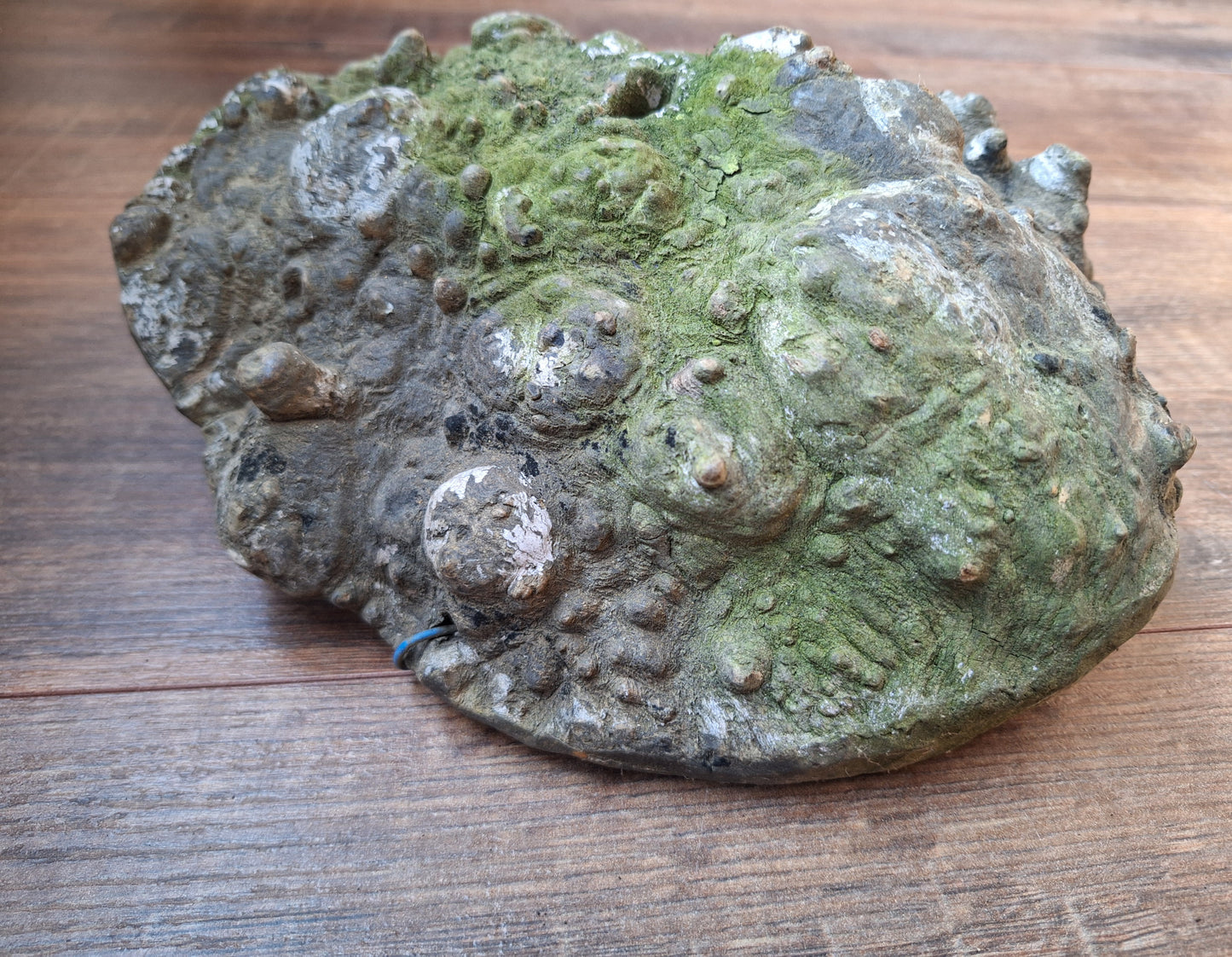 Antique Nepalese tree bark mask