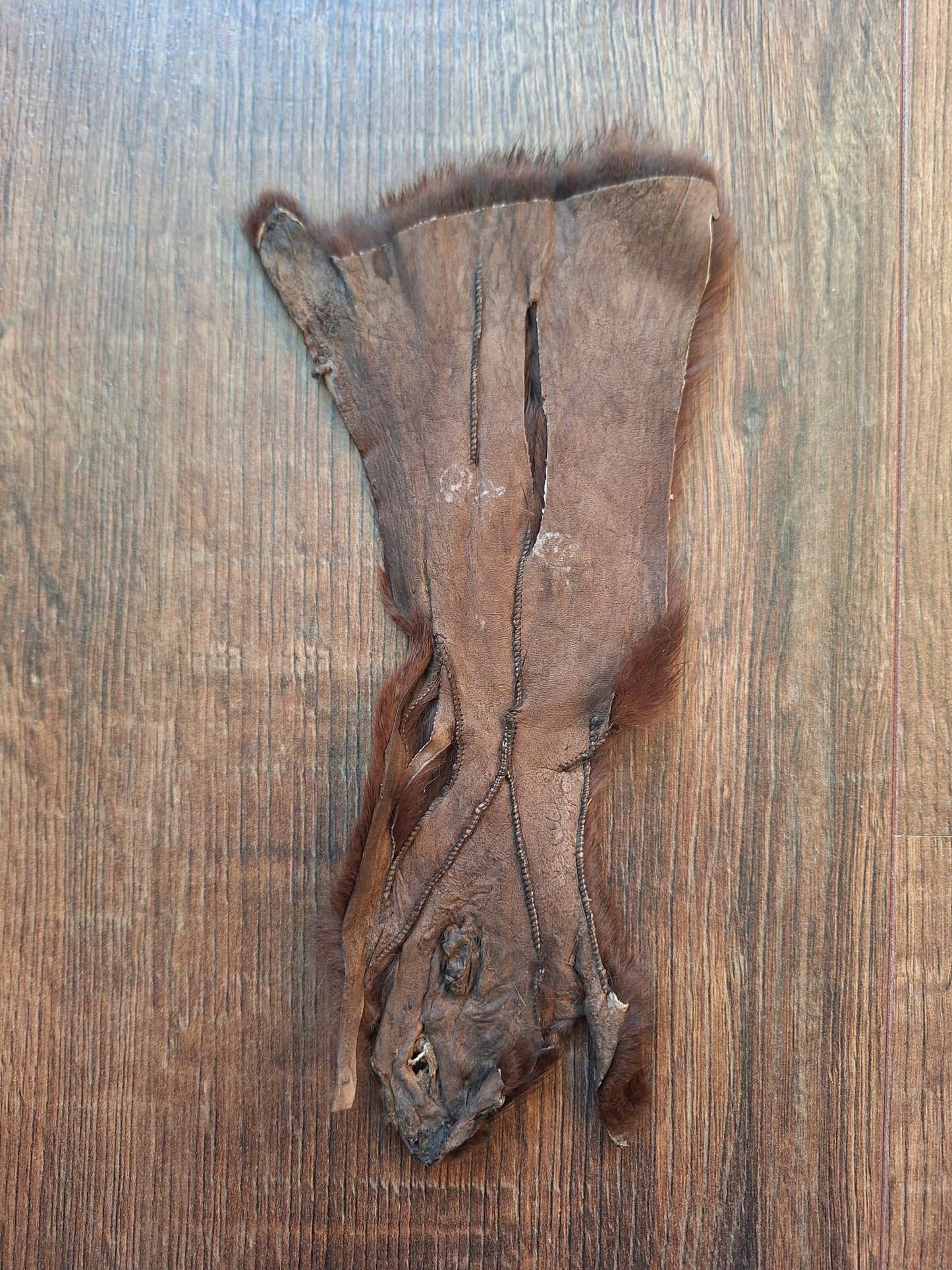 Squirrel hide #4, B-quality