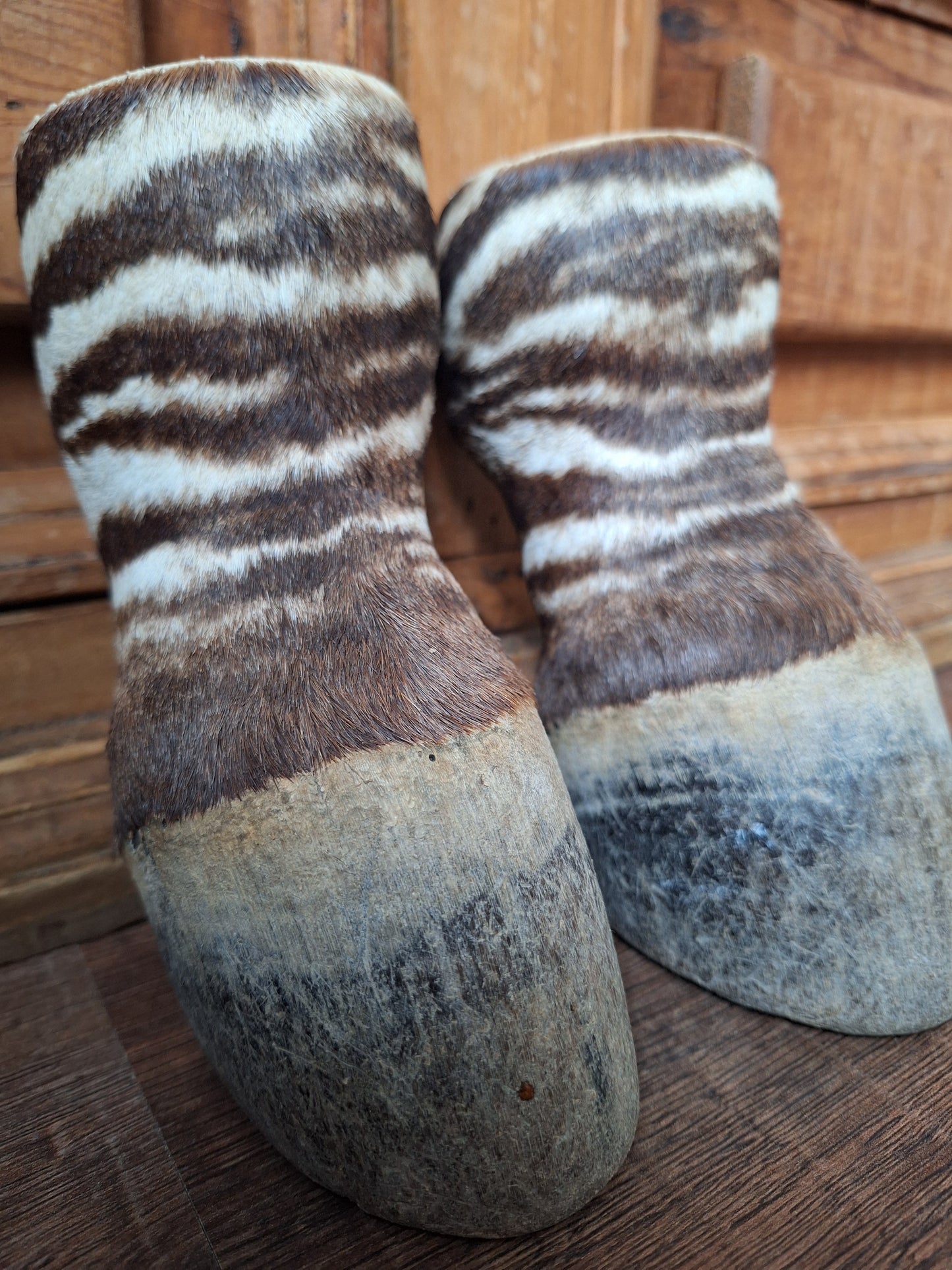 Vintage zebra feet, set of 2