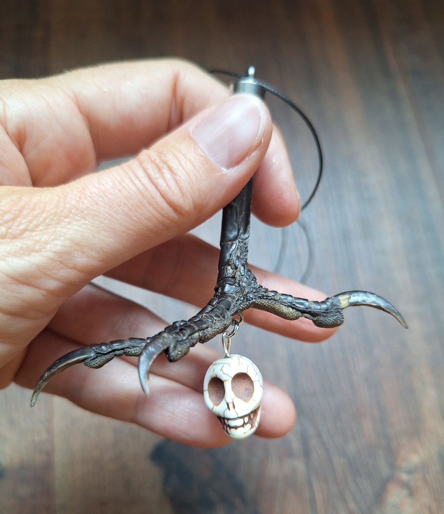 Crow claw and howlite skull amulet necklace