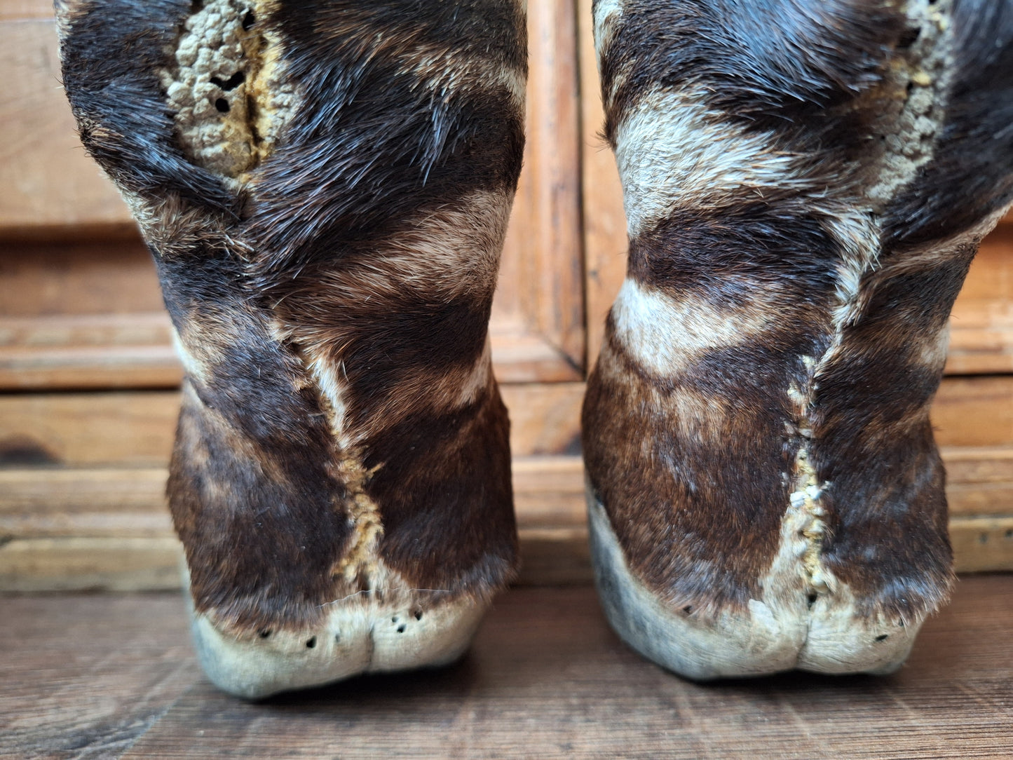 Vintage zebra feet, set of 2
