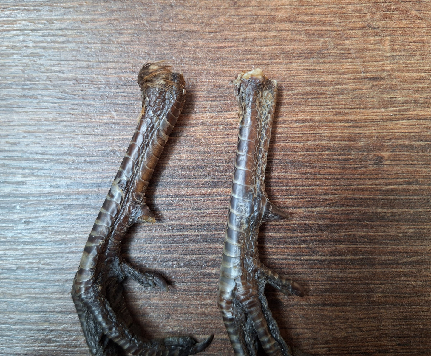 Chicken lower legs, set of 2