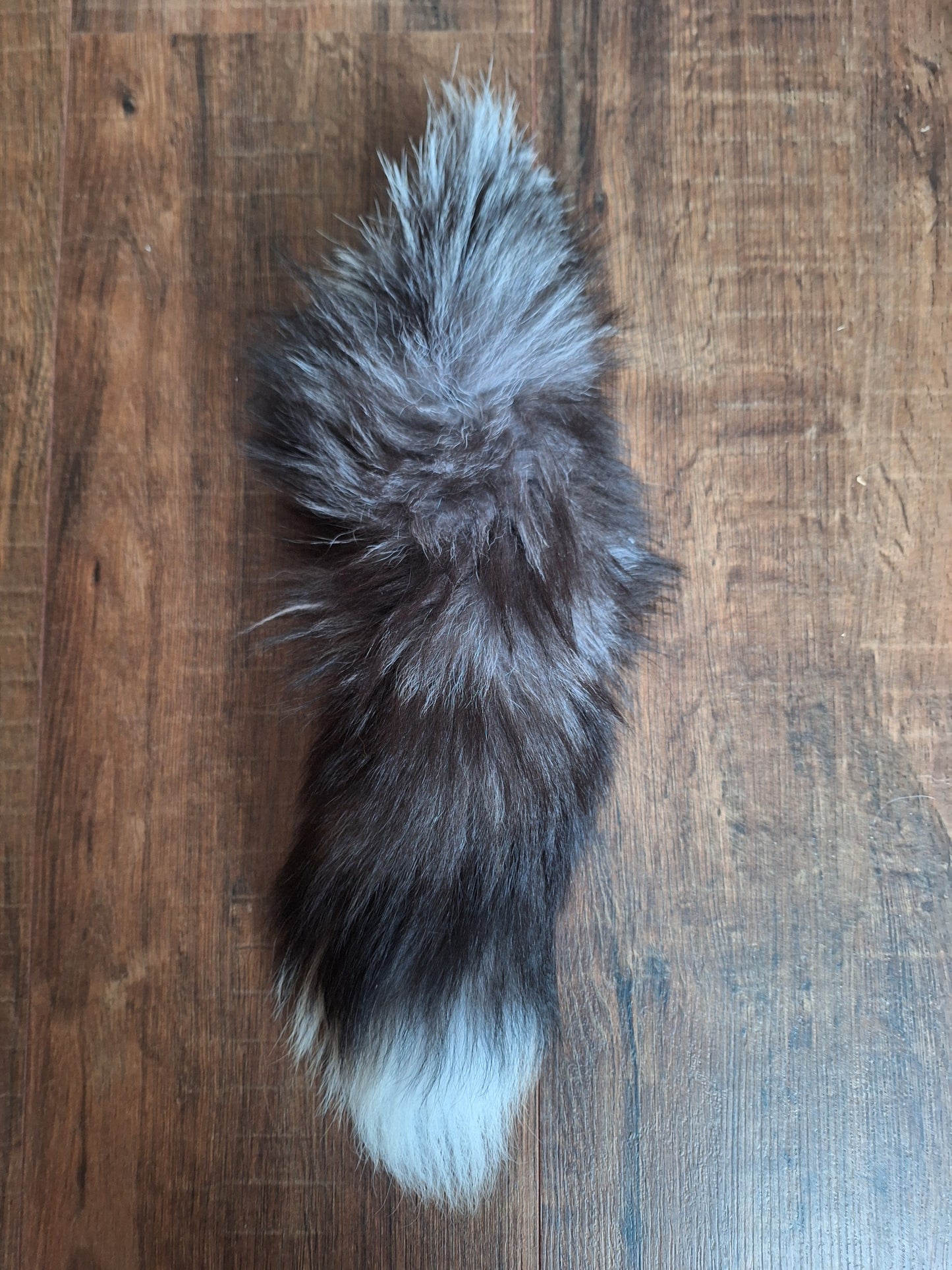 Silverfox tails