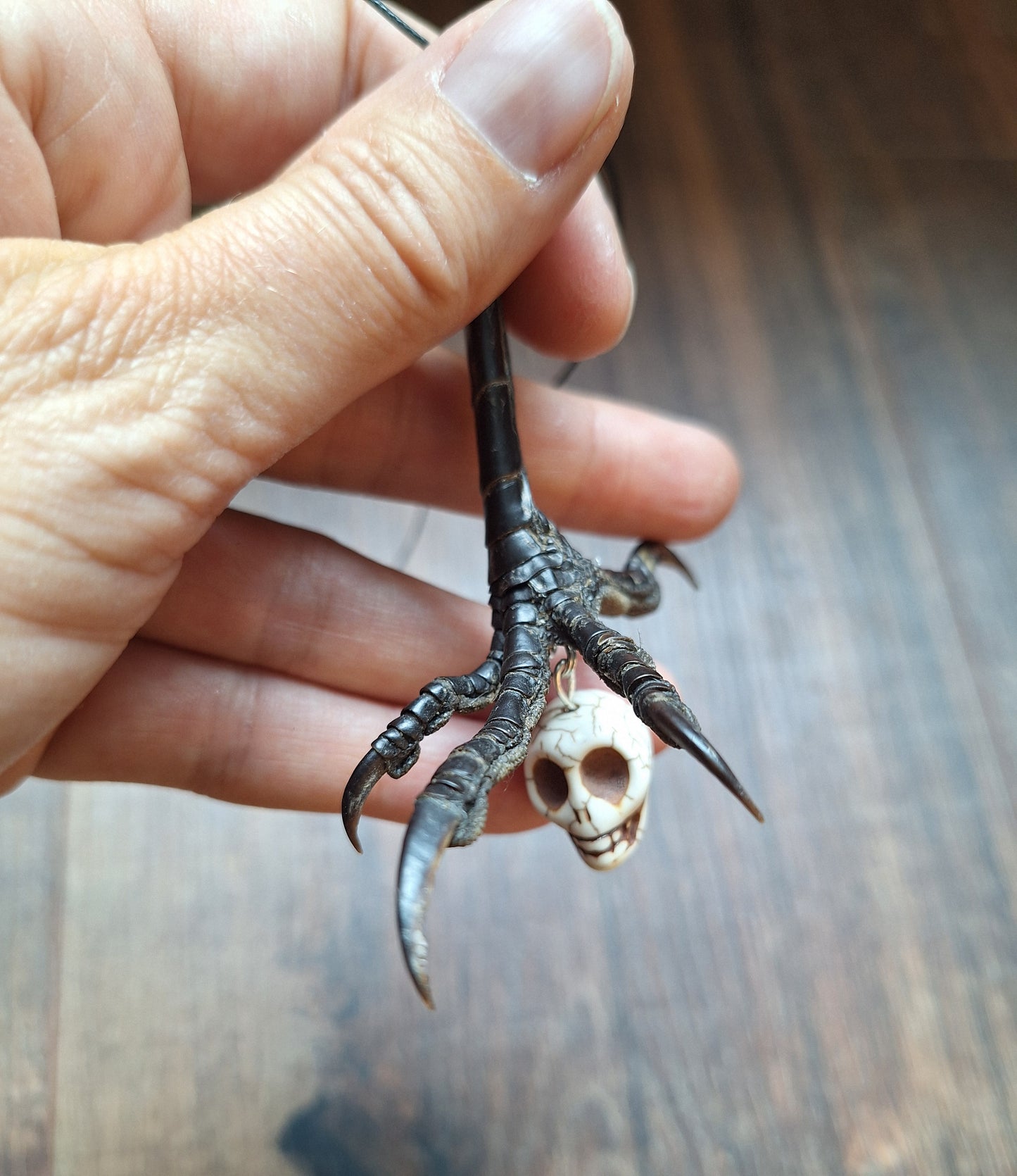 Crow claw and howlite skull amulet necklace
