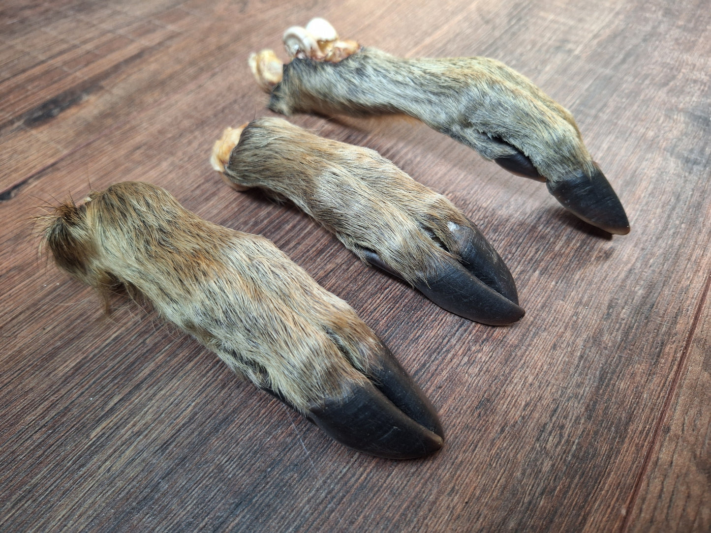 Wild boar lower legs