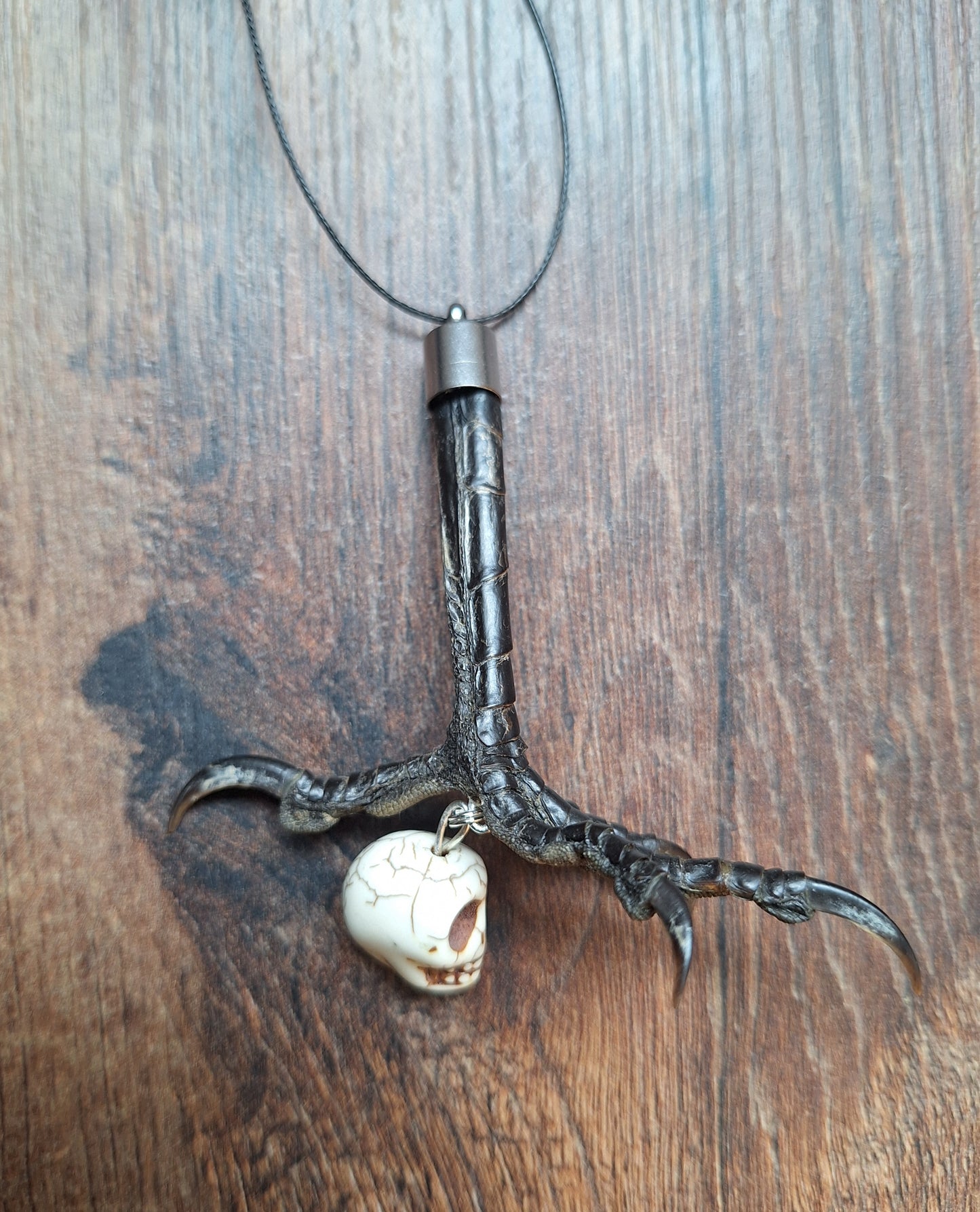 Crow claw and howlite skull amulet necklace