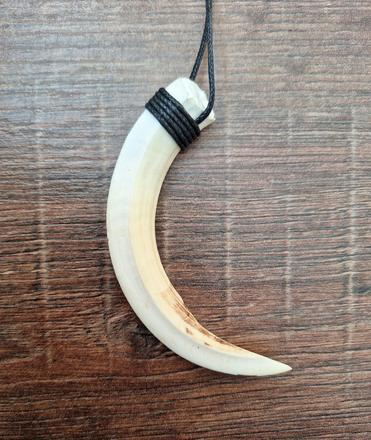 Wild boar tusk amulet necklace
