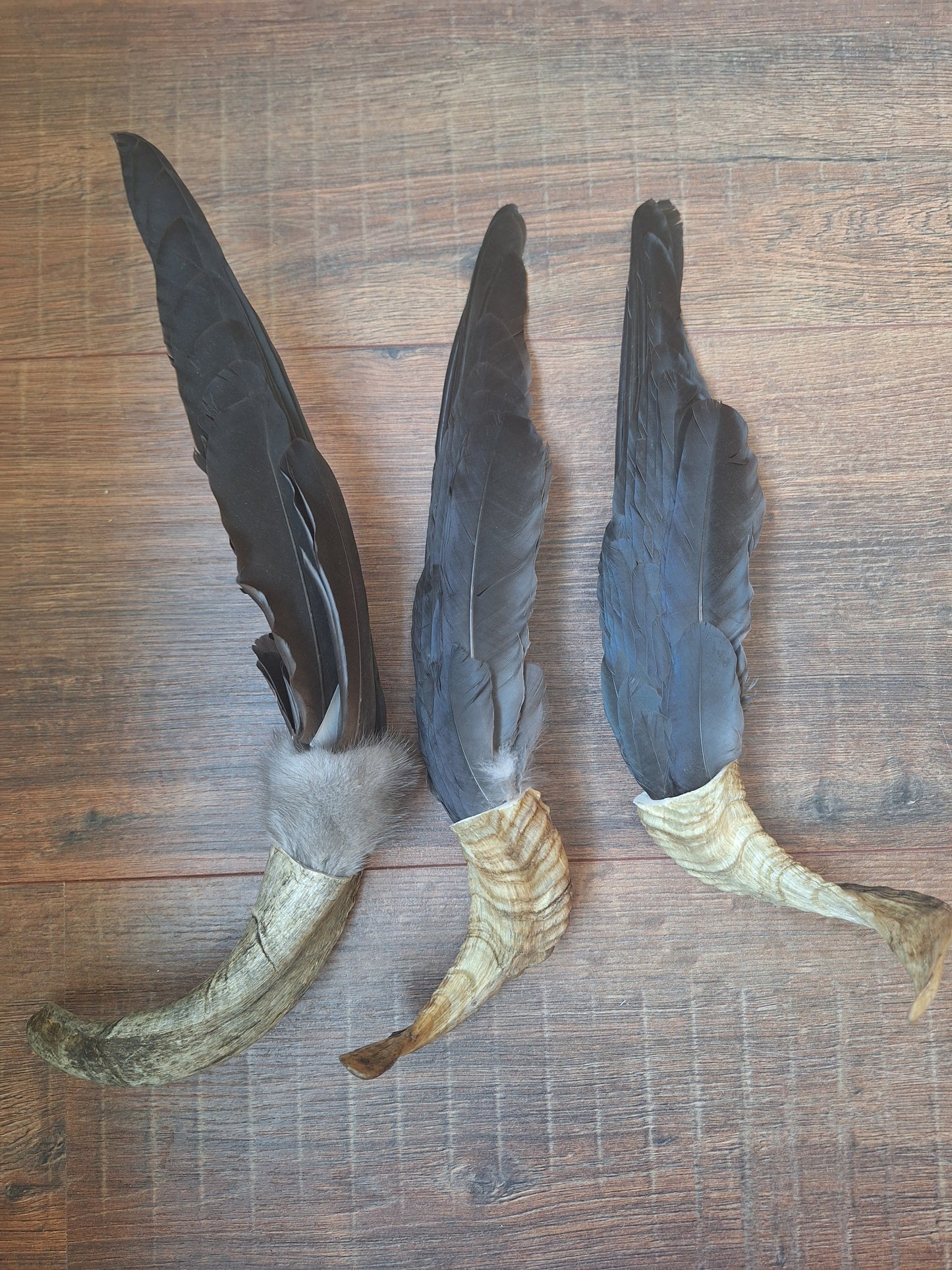 Horn feather fan Crow