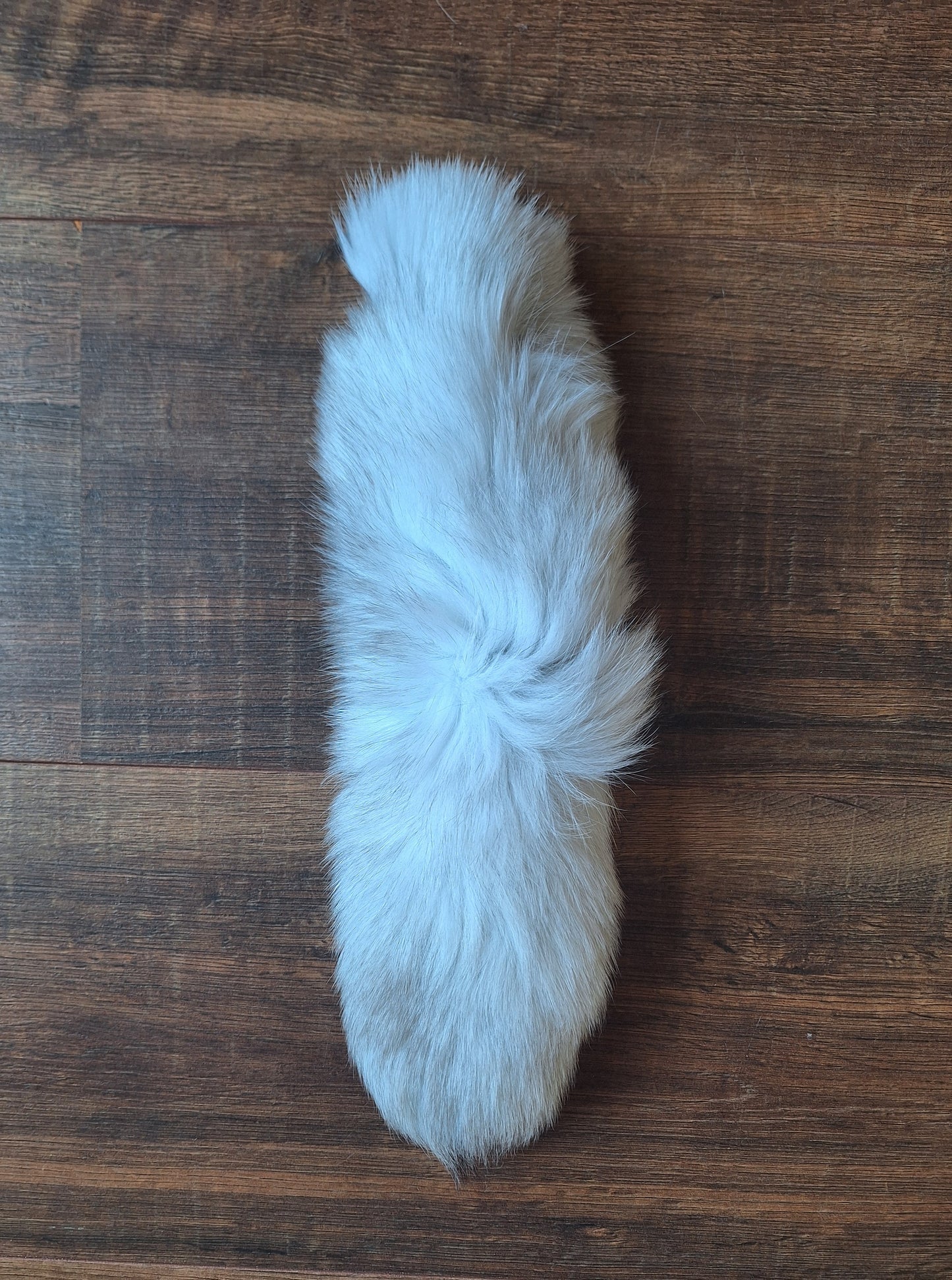 Polar fox tails