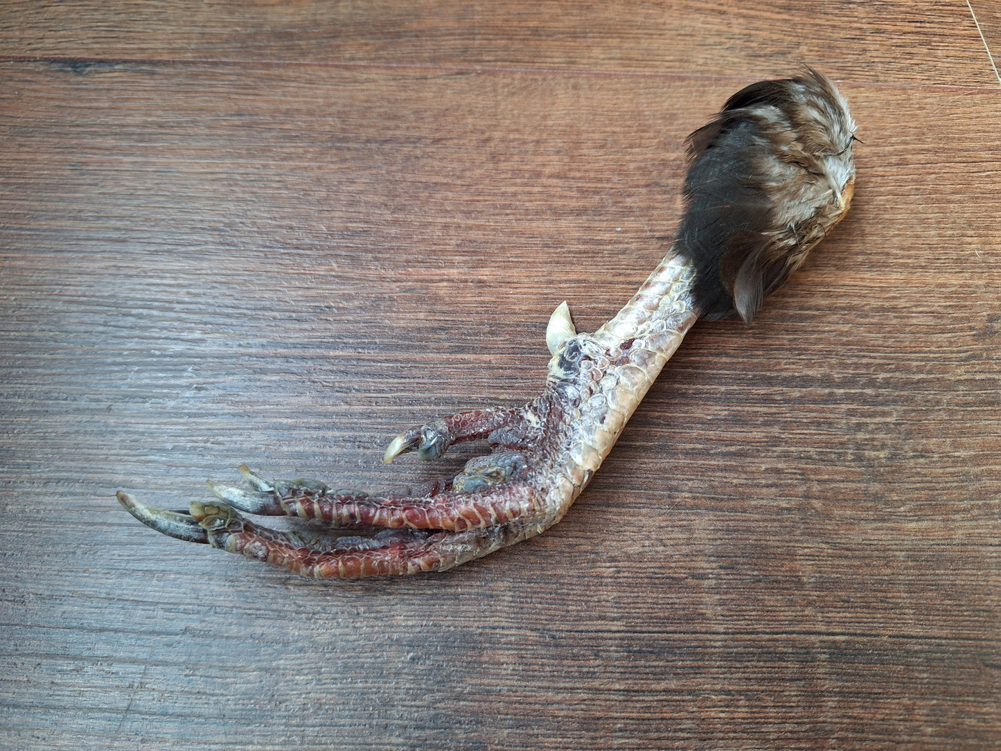 Chicken lower leg