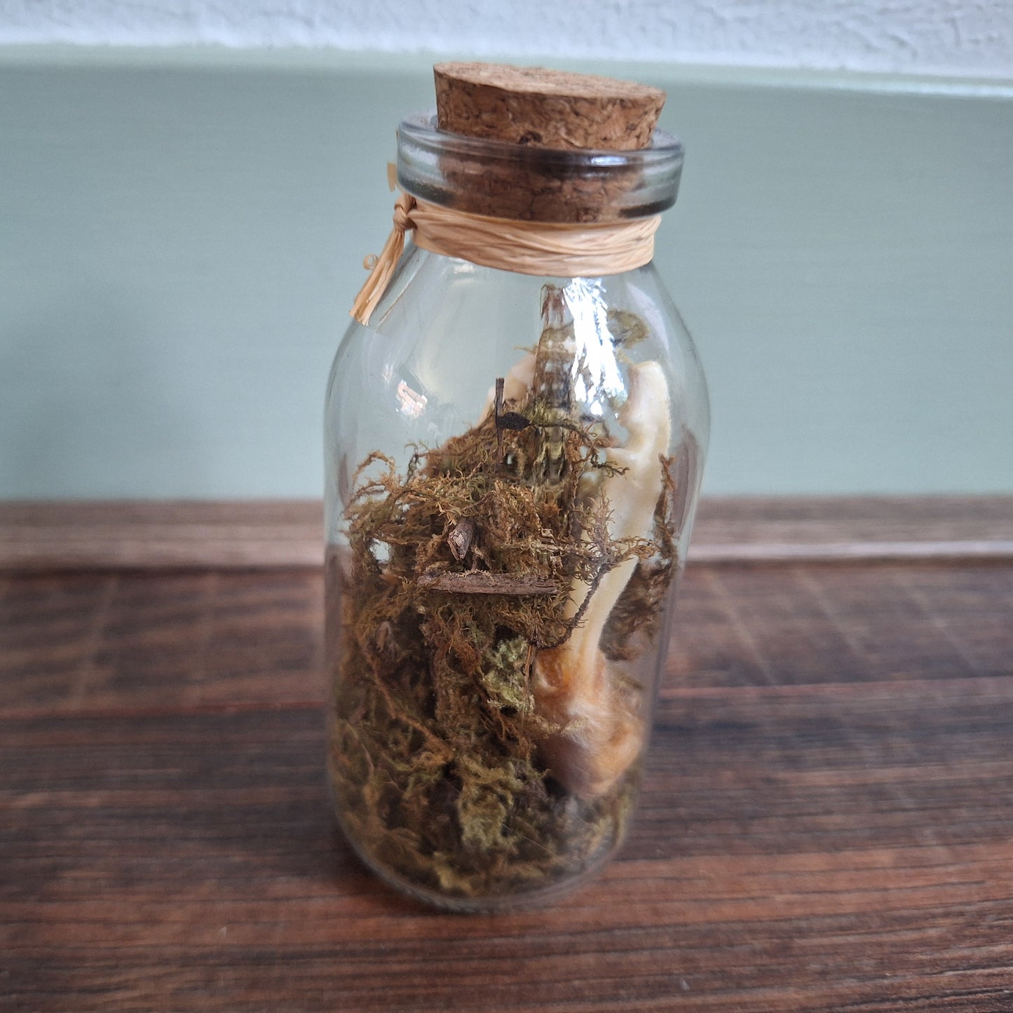 Musk rat legs in glass bottle