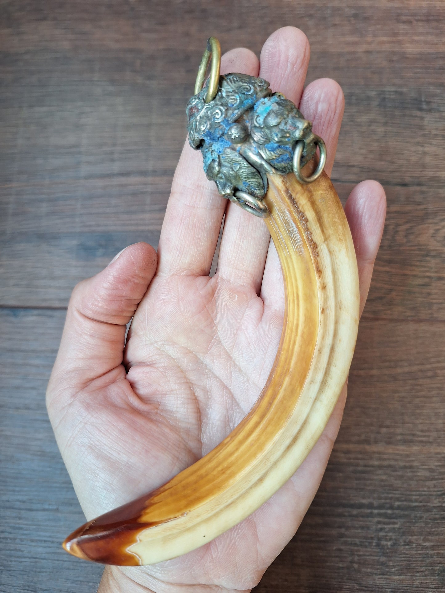 Vintage Nepalese wild boar tusk pendant