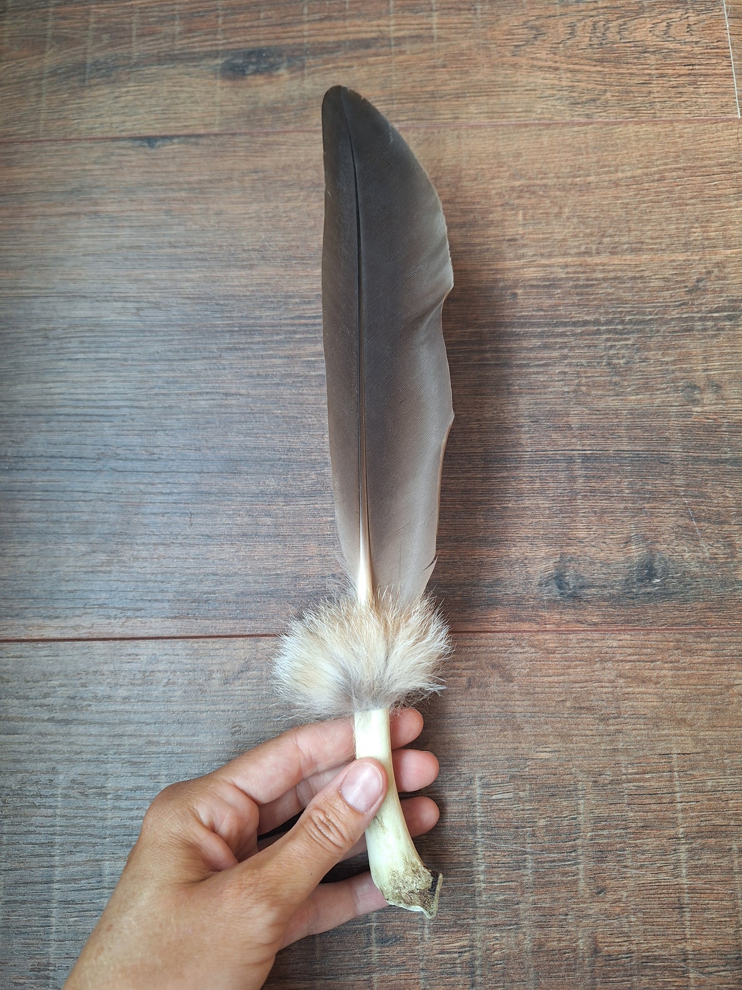 Bone feather fan Goose