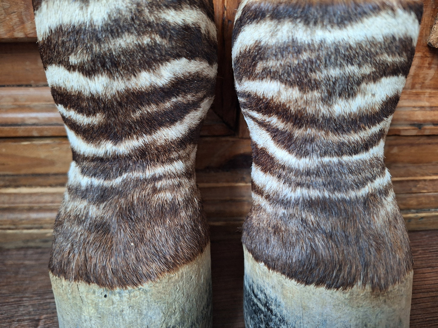 Vintage zebra feet, set of 2