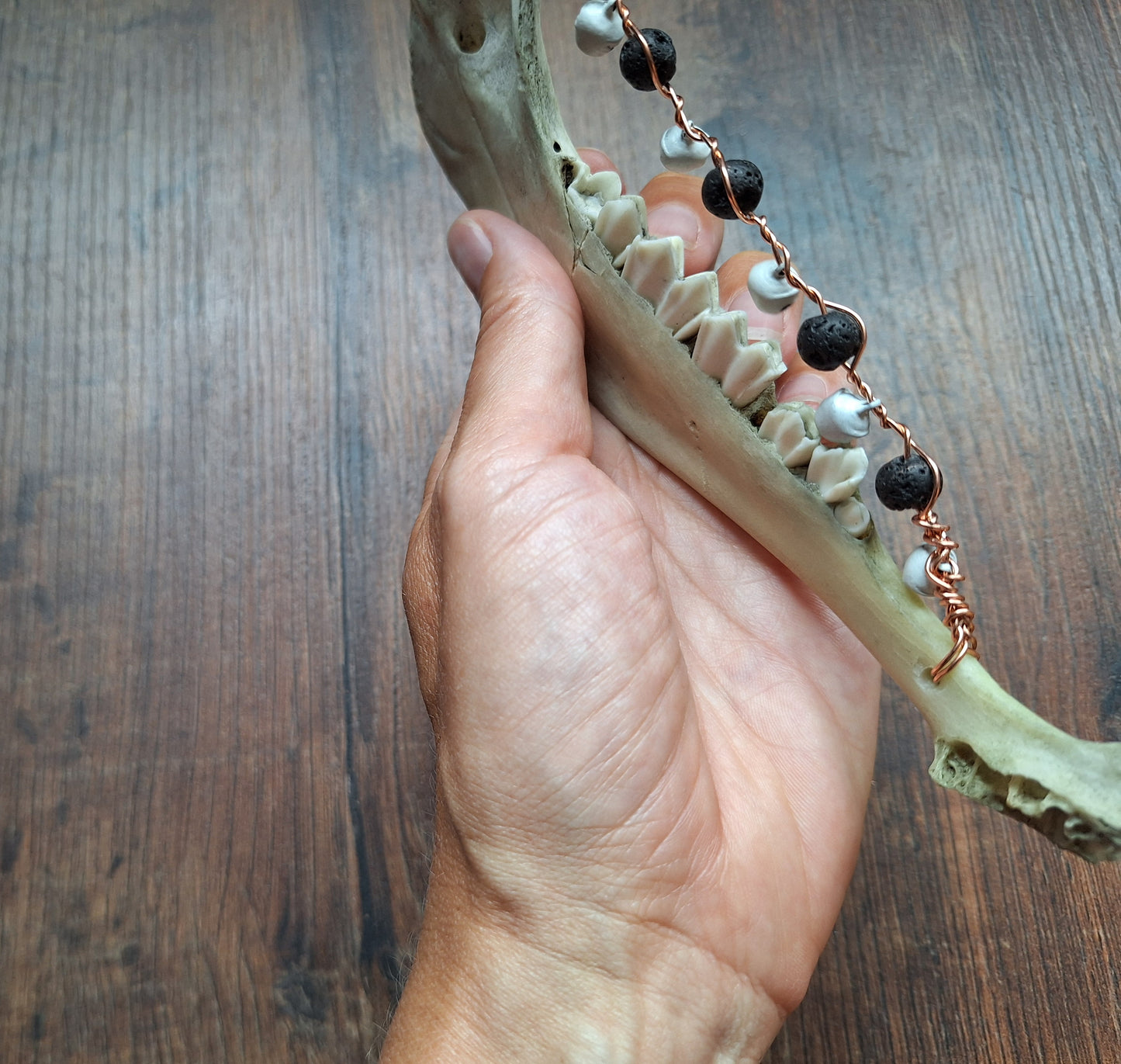Roe deer jawbone rattle