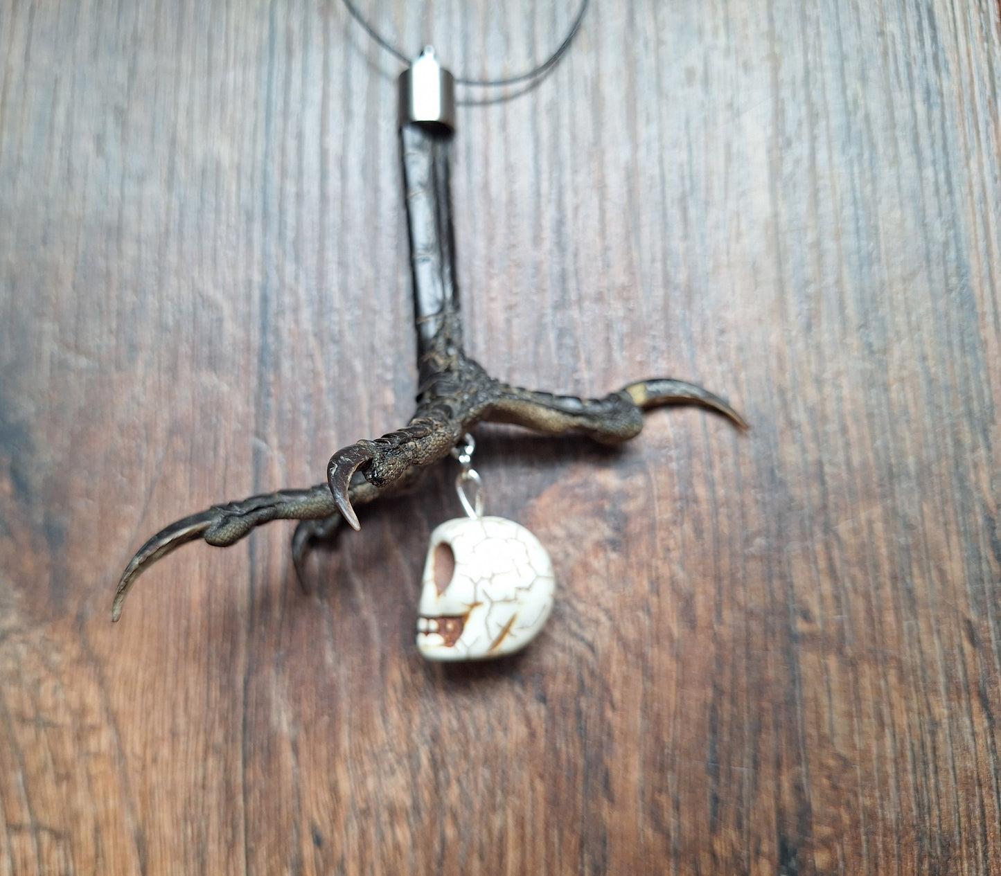 Crow claw and howlite skull amulet necklace