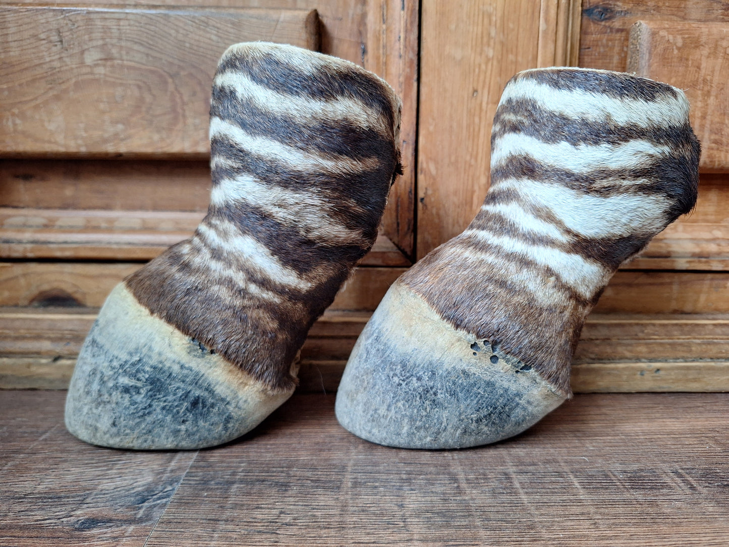 Vintage zebra feet, set of 2
