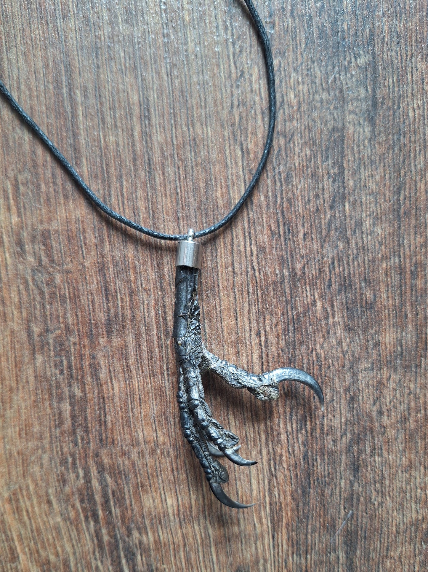 Crow claw amulet necklace