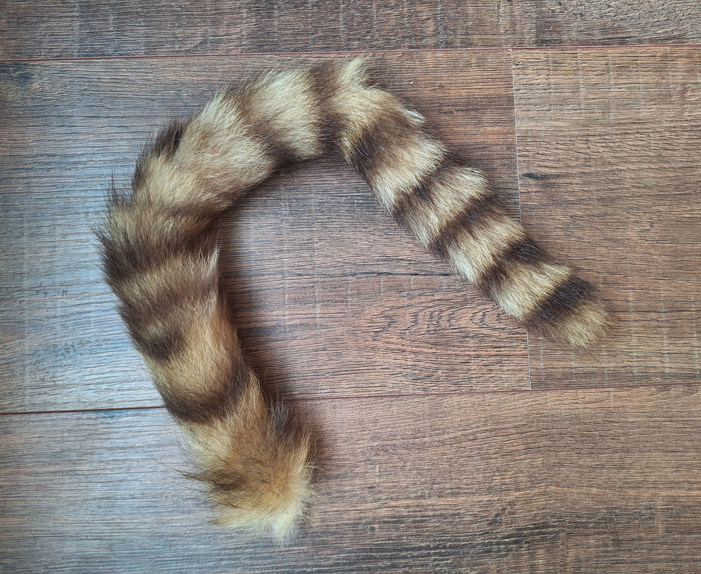 Raccoon tail preparation