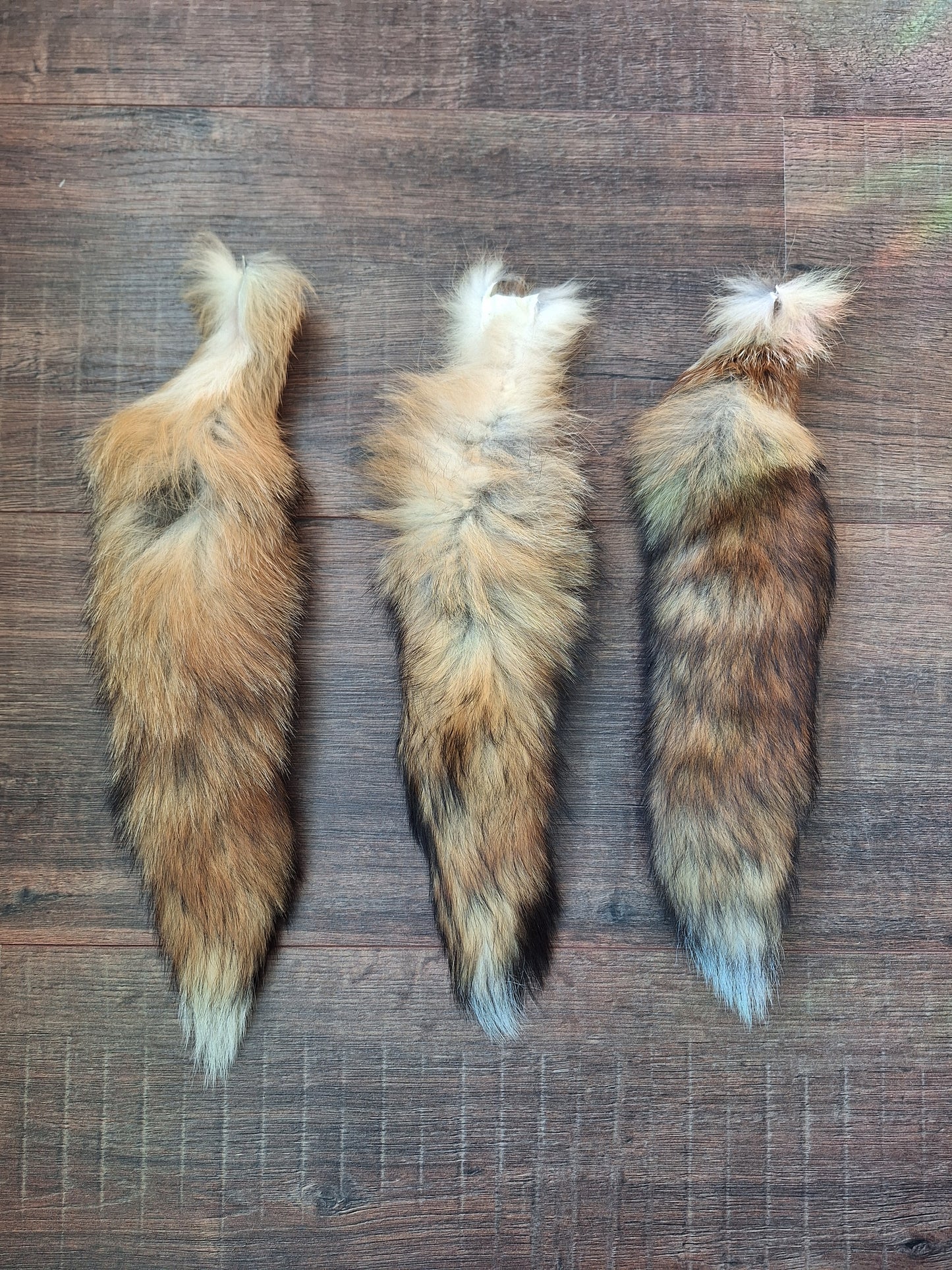 Red fox tails