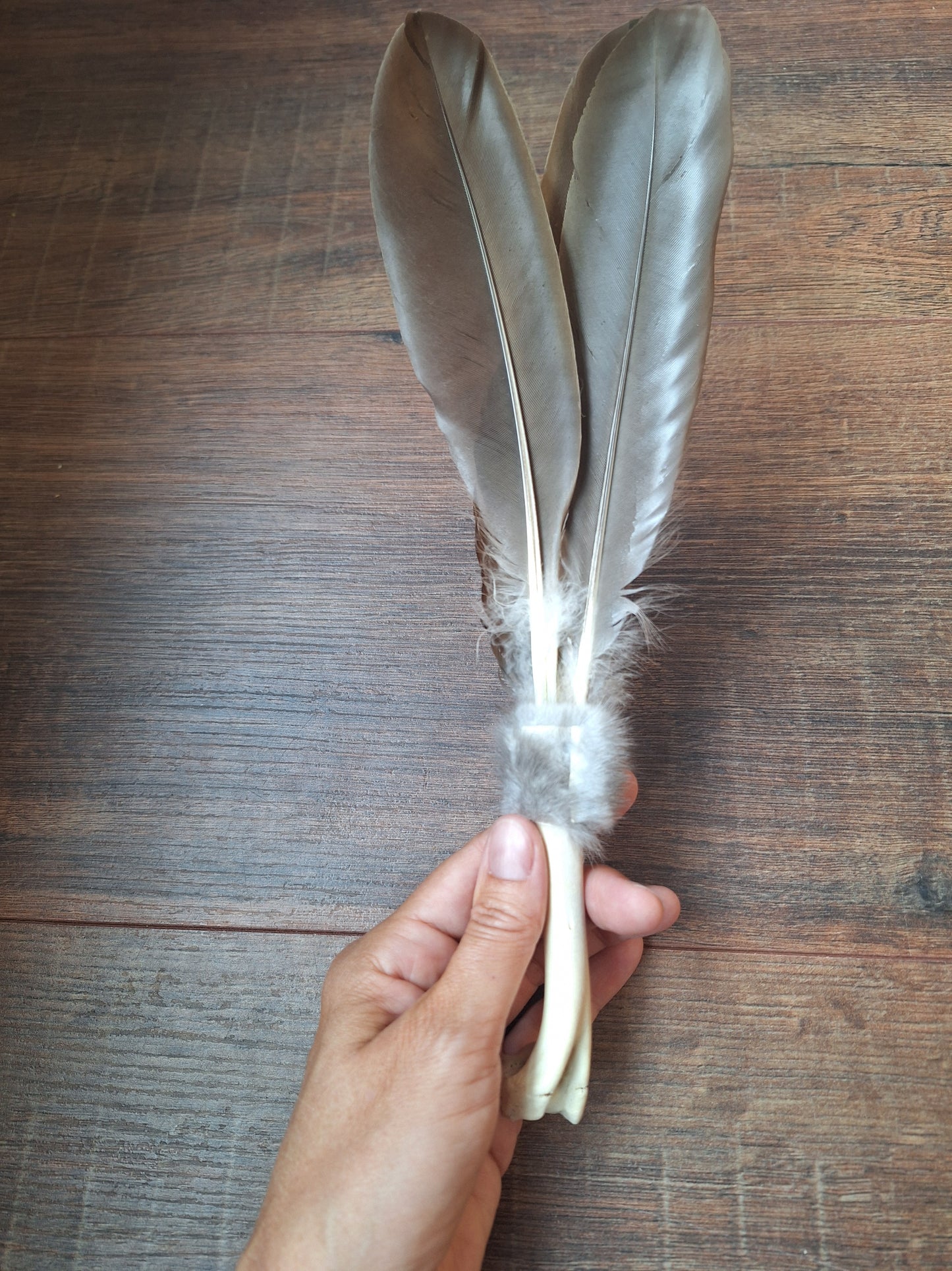 Bone feather fan Duck