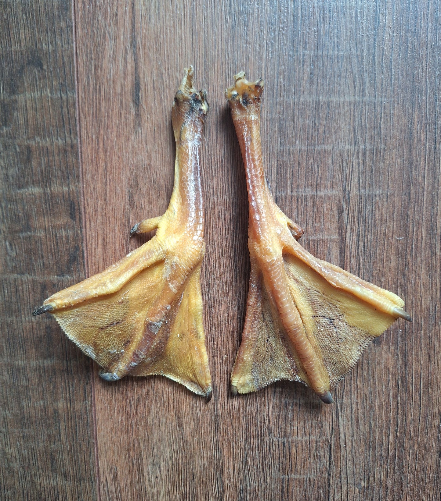 Goose lower legs, set of 2