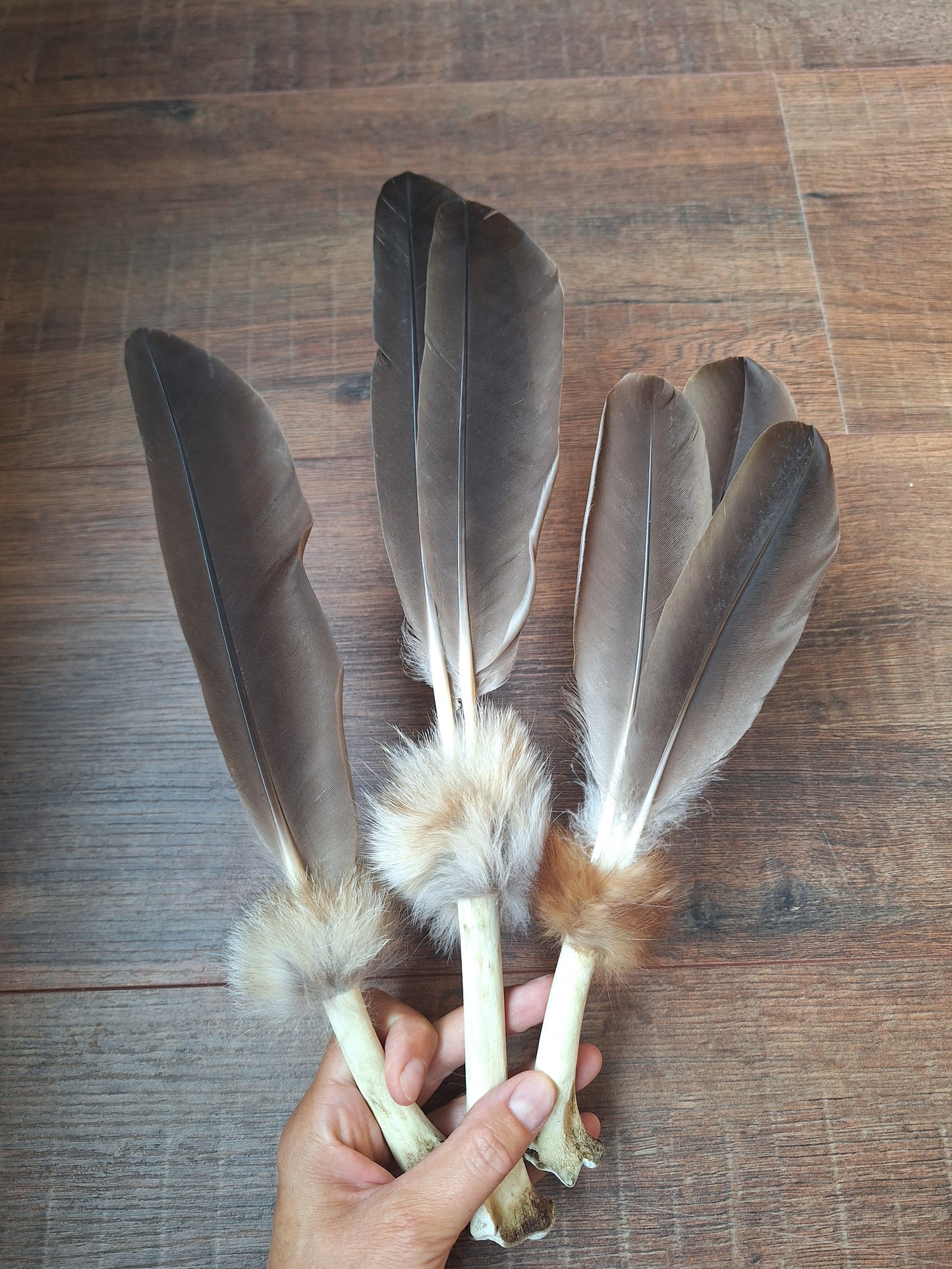 Bone feather fan Goose