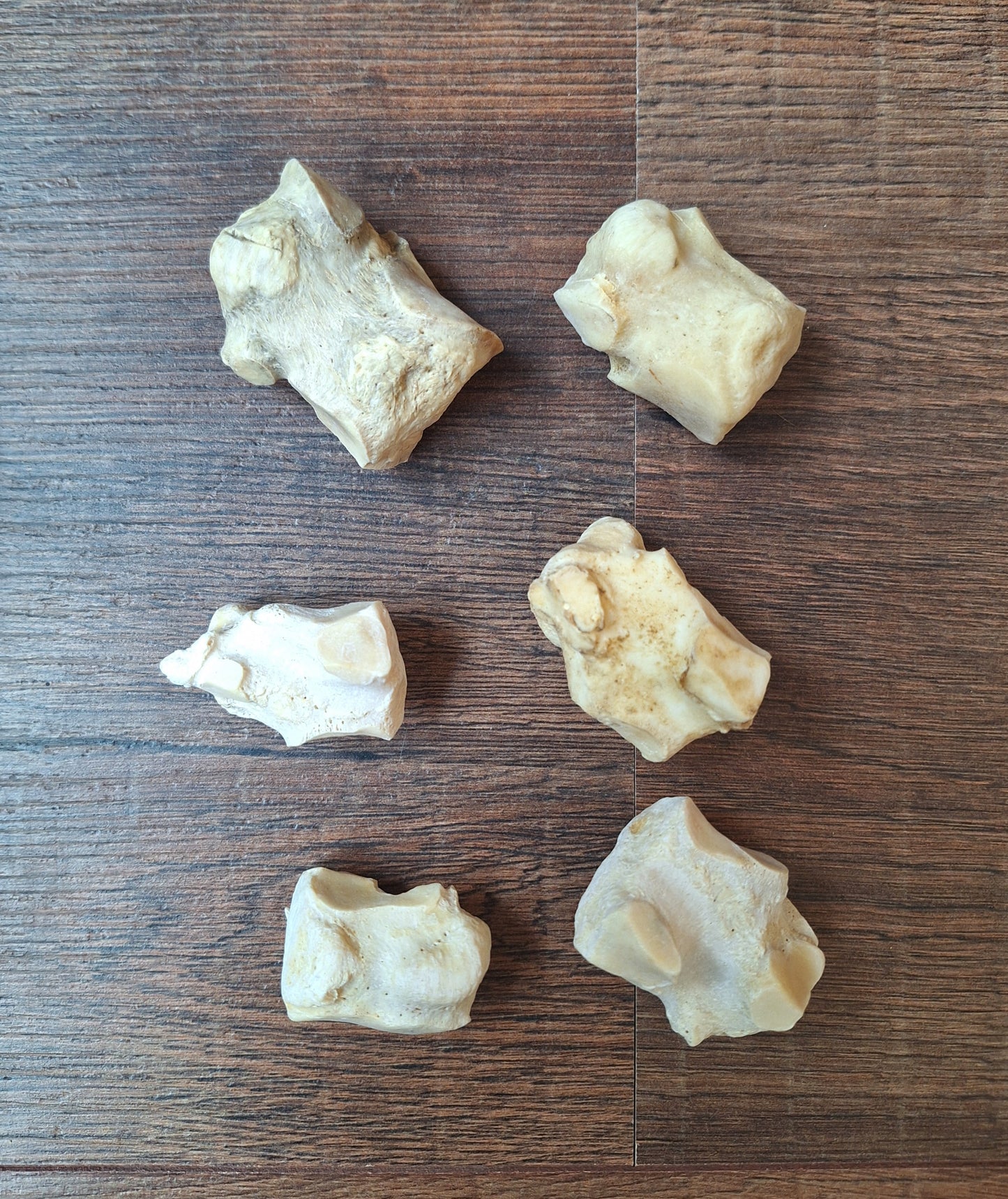 Horse leg bones, crafting sets