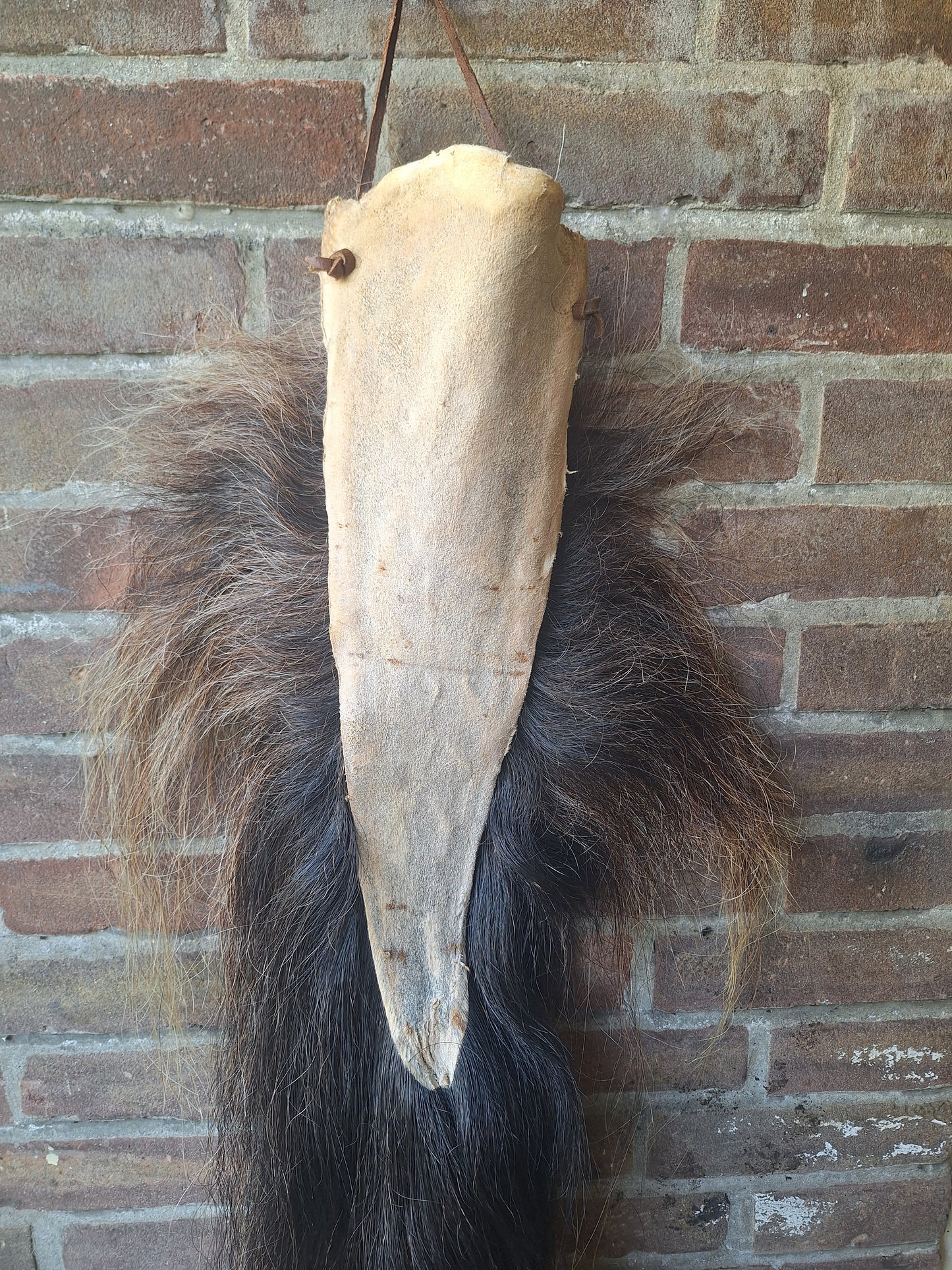 Horse tail #8, complete tail