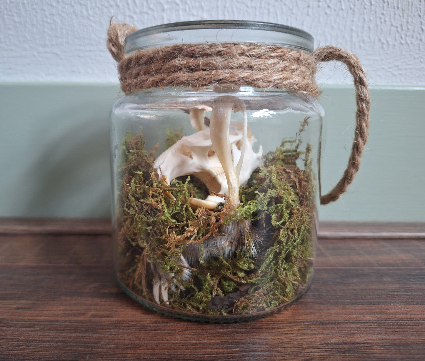 Musk rat set in glass jar