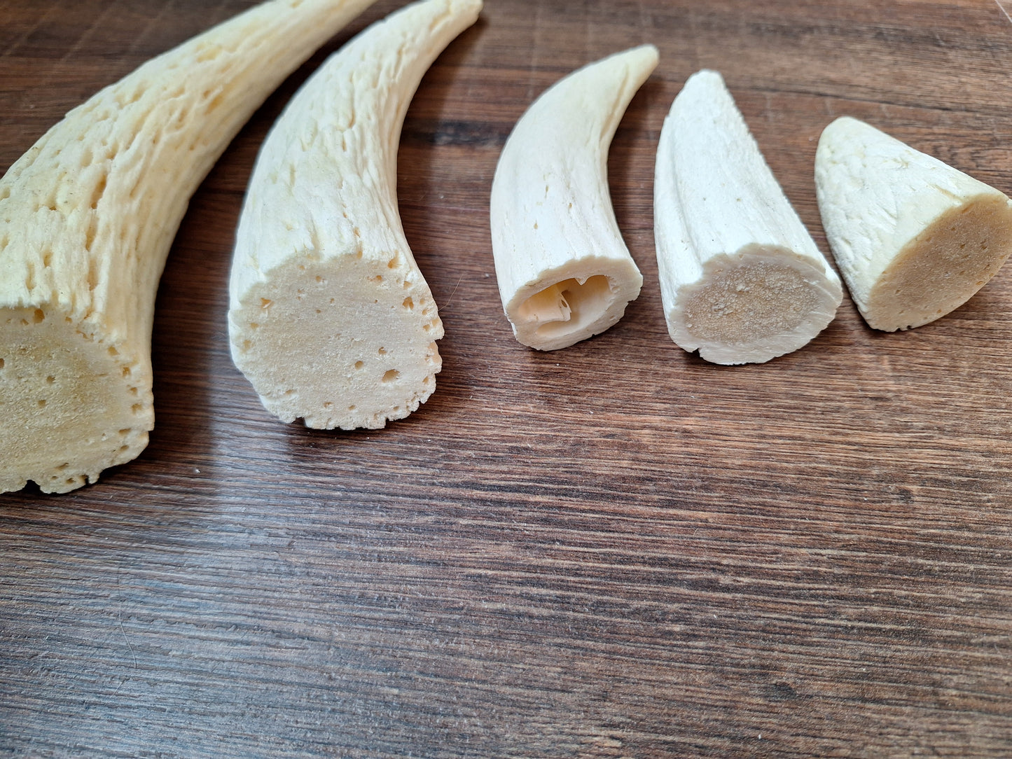 Cow horn pit, set of 5