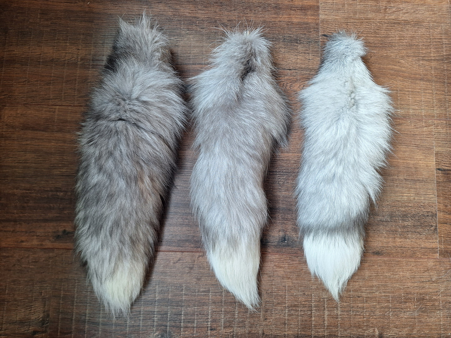 Painted silverfox tails