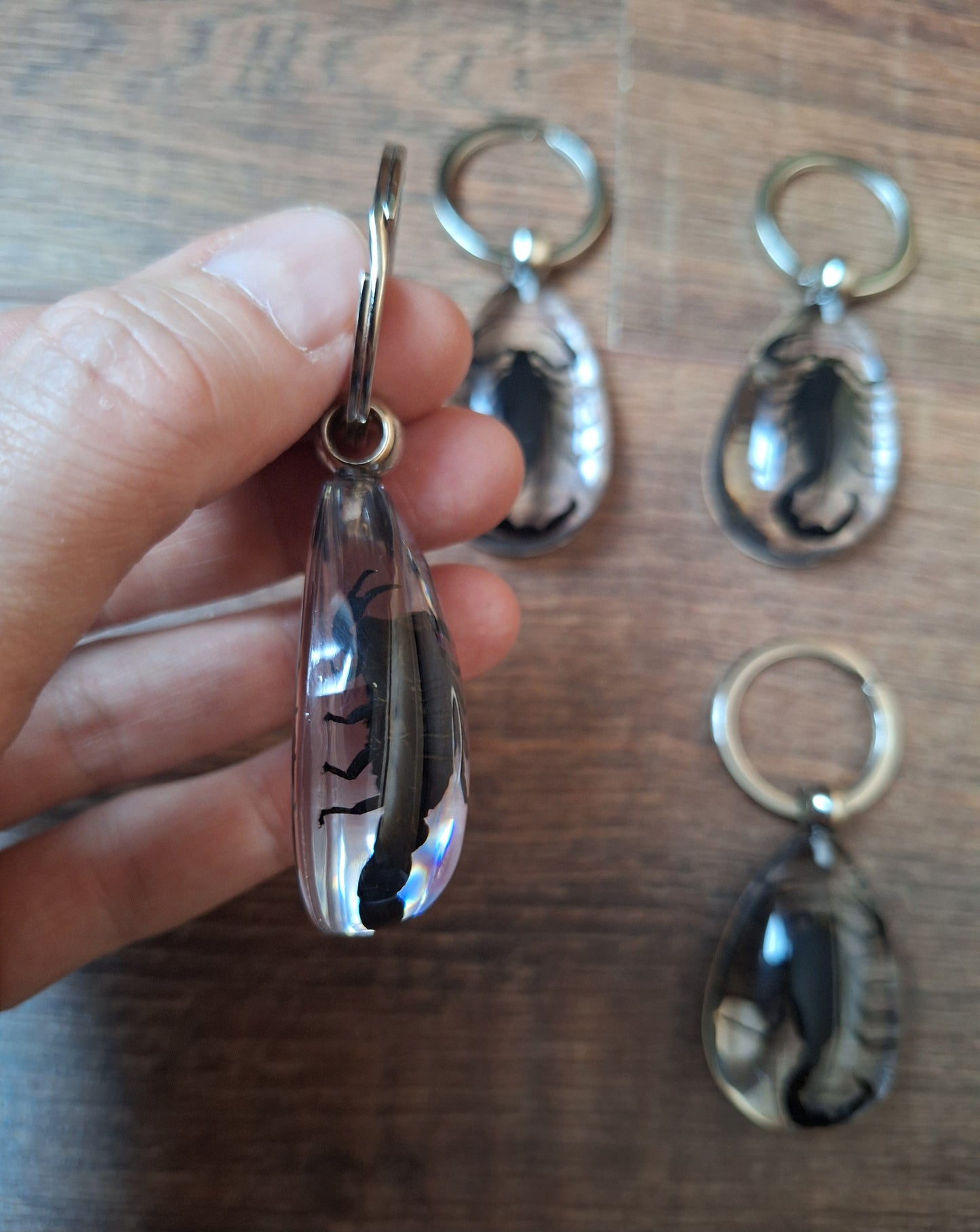 Scorpion in resin keychain
