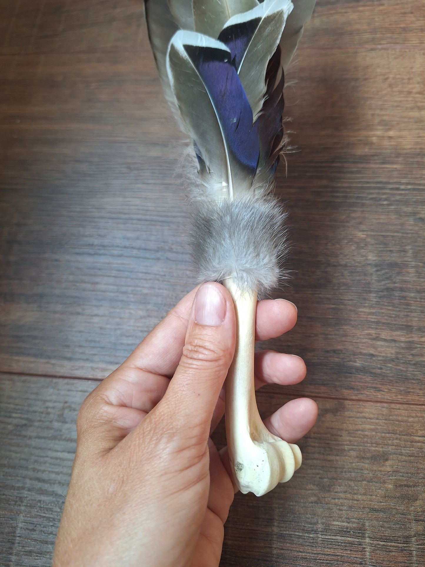 Bone feather fan Duck
