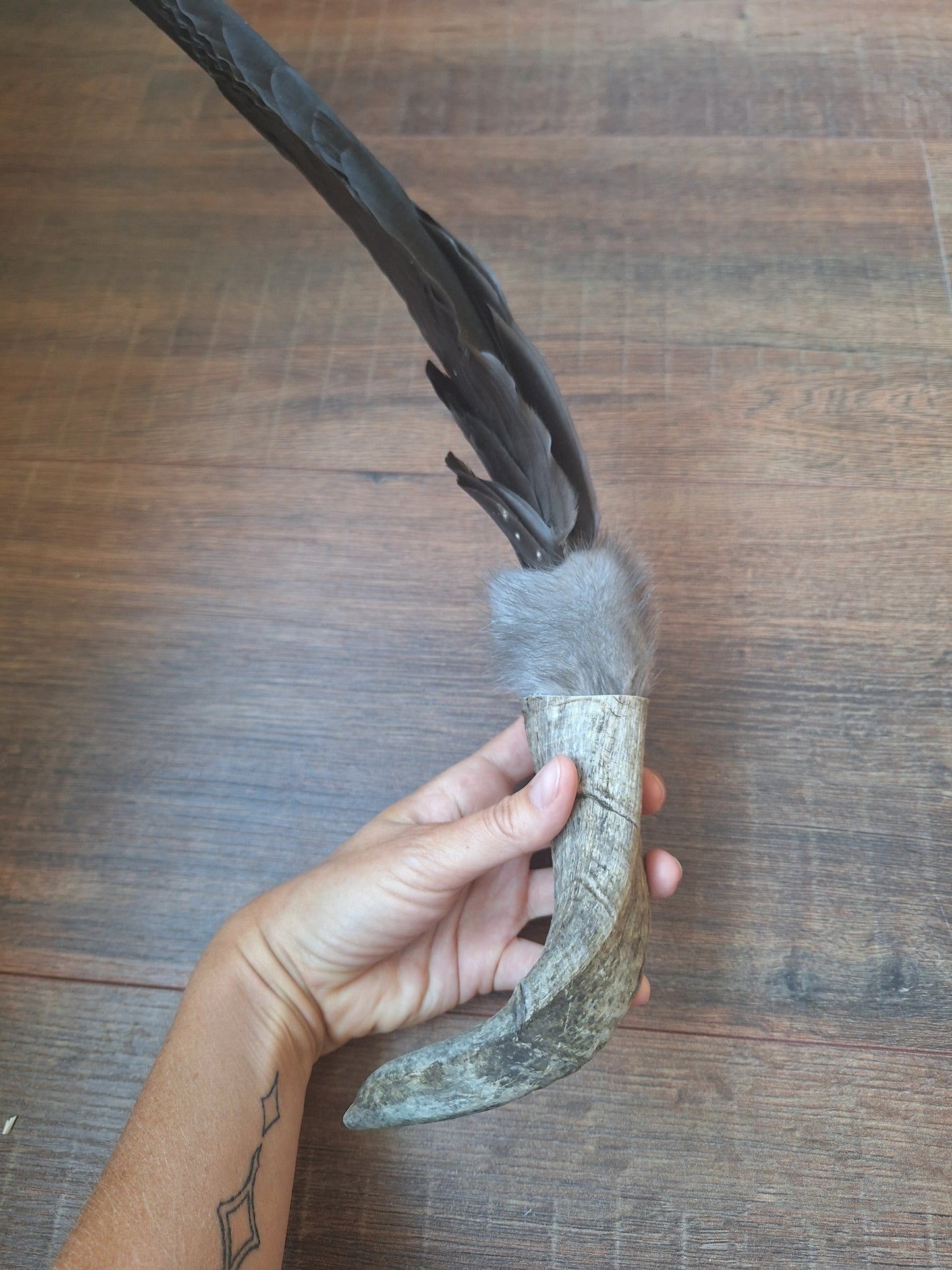 Horn feather fan Crow