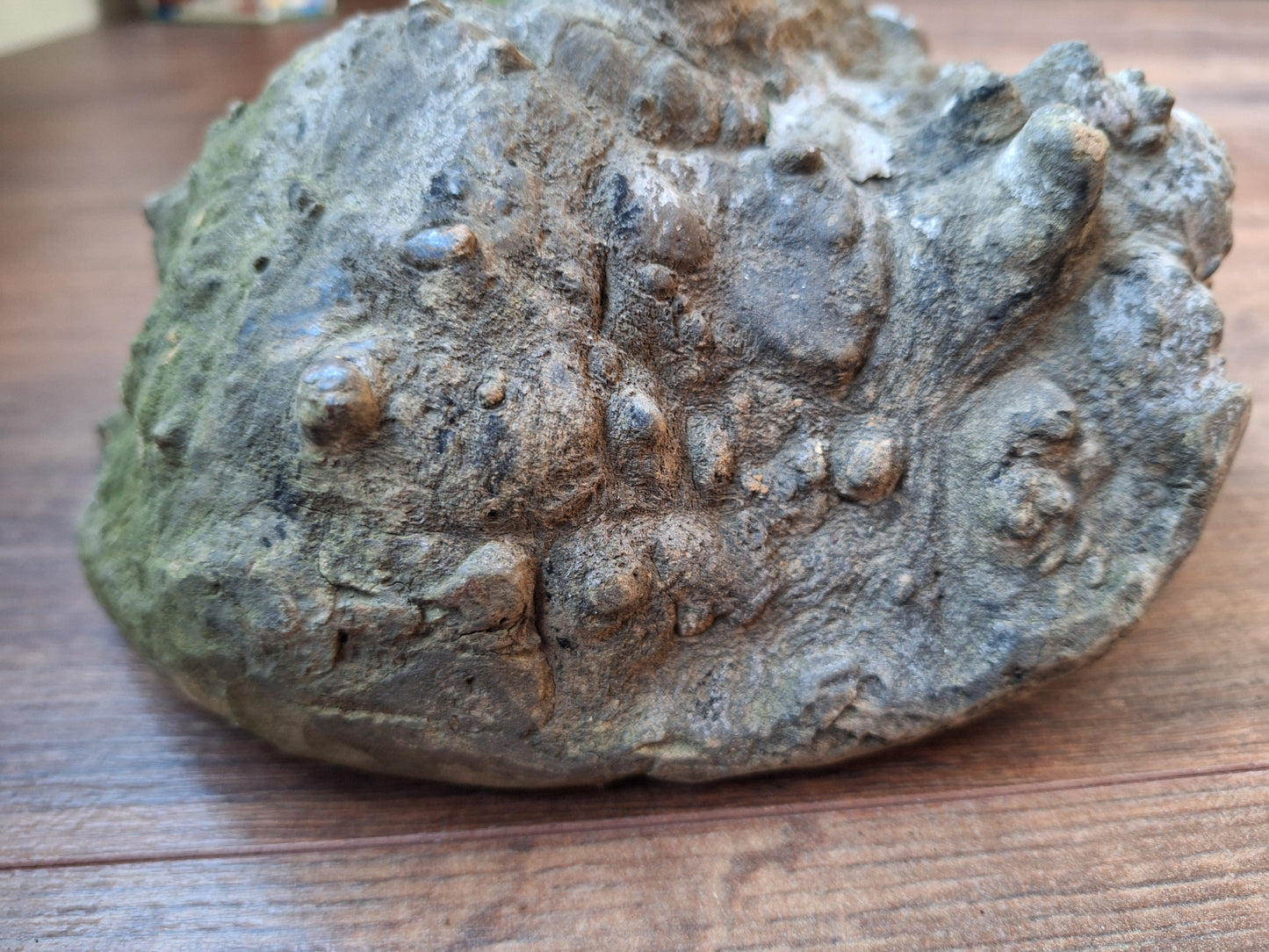 Antique Nepalese tree bark mask