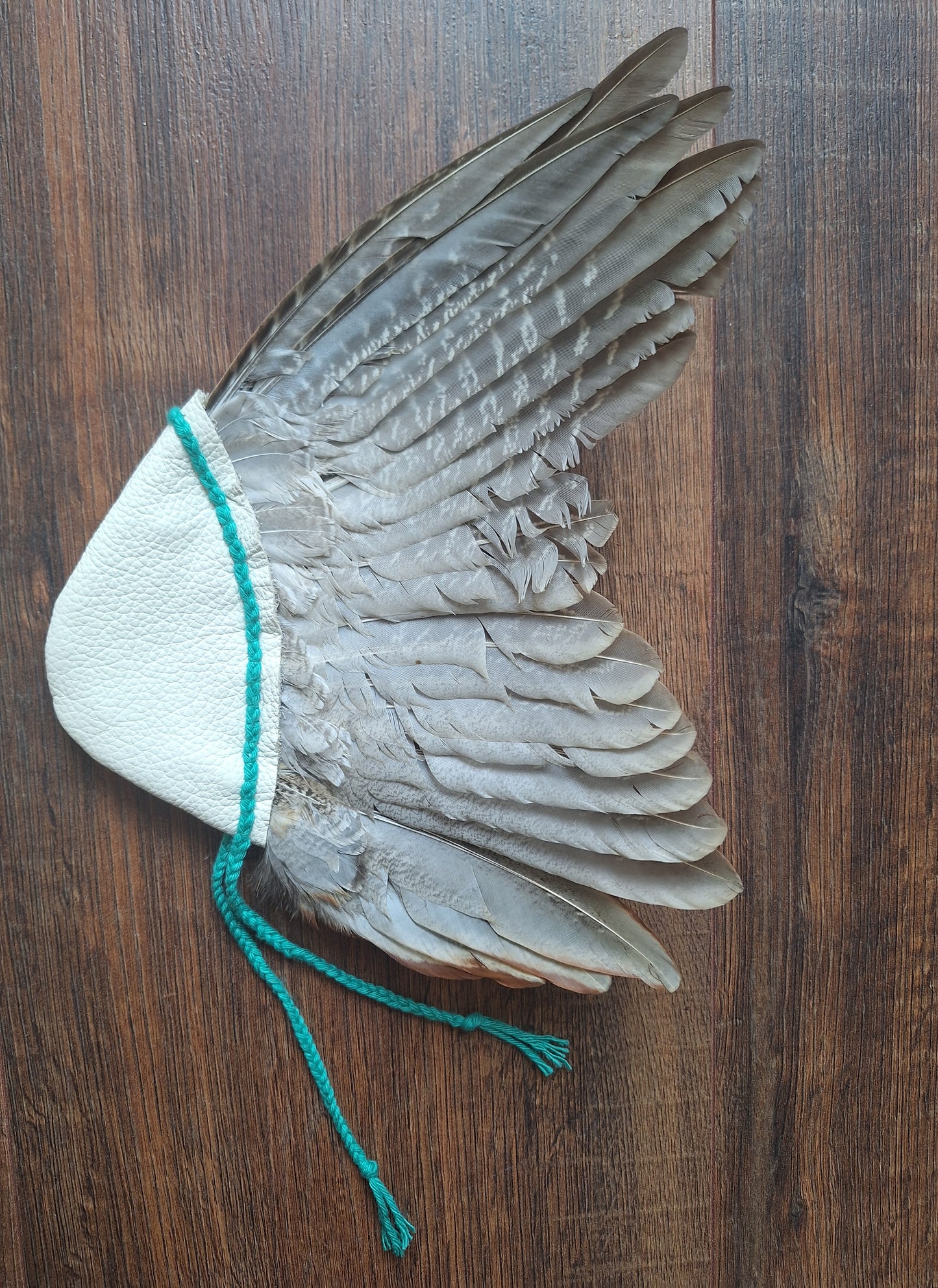 Pheasant wing fan