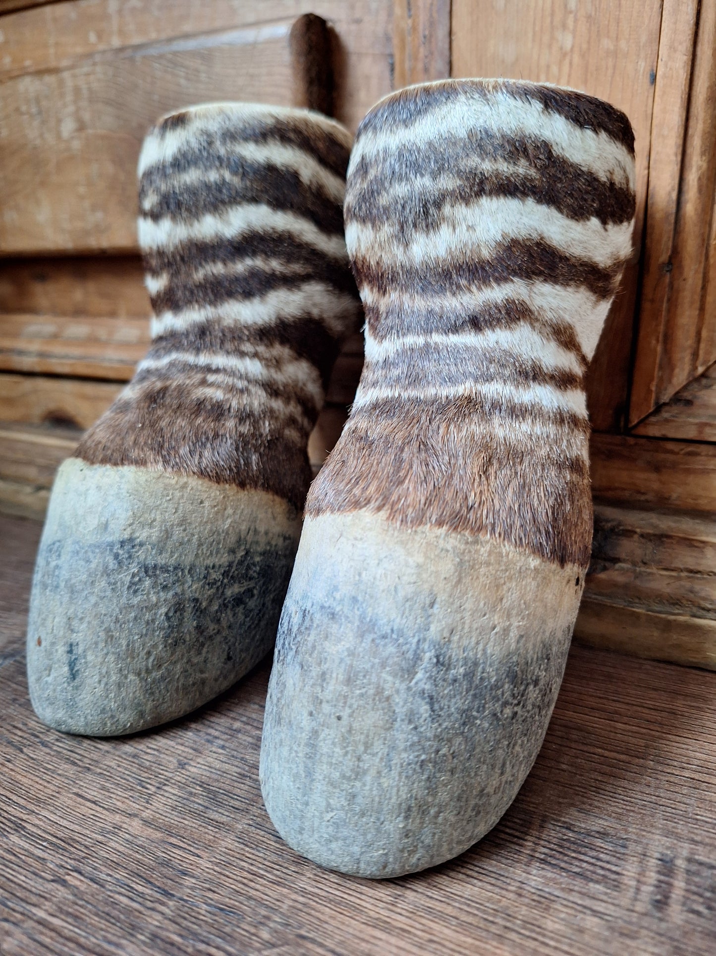 Vintage zebra feet, set of 2