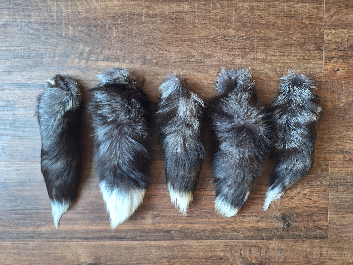 Silver fox tails