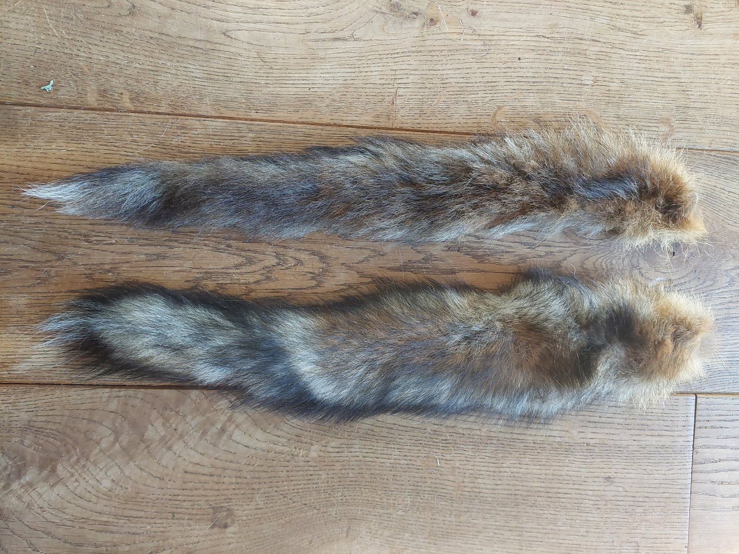 Red fox tails